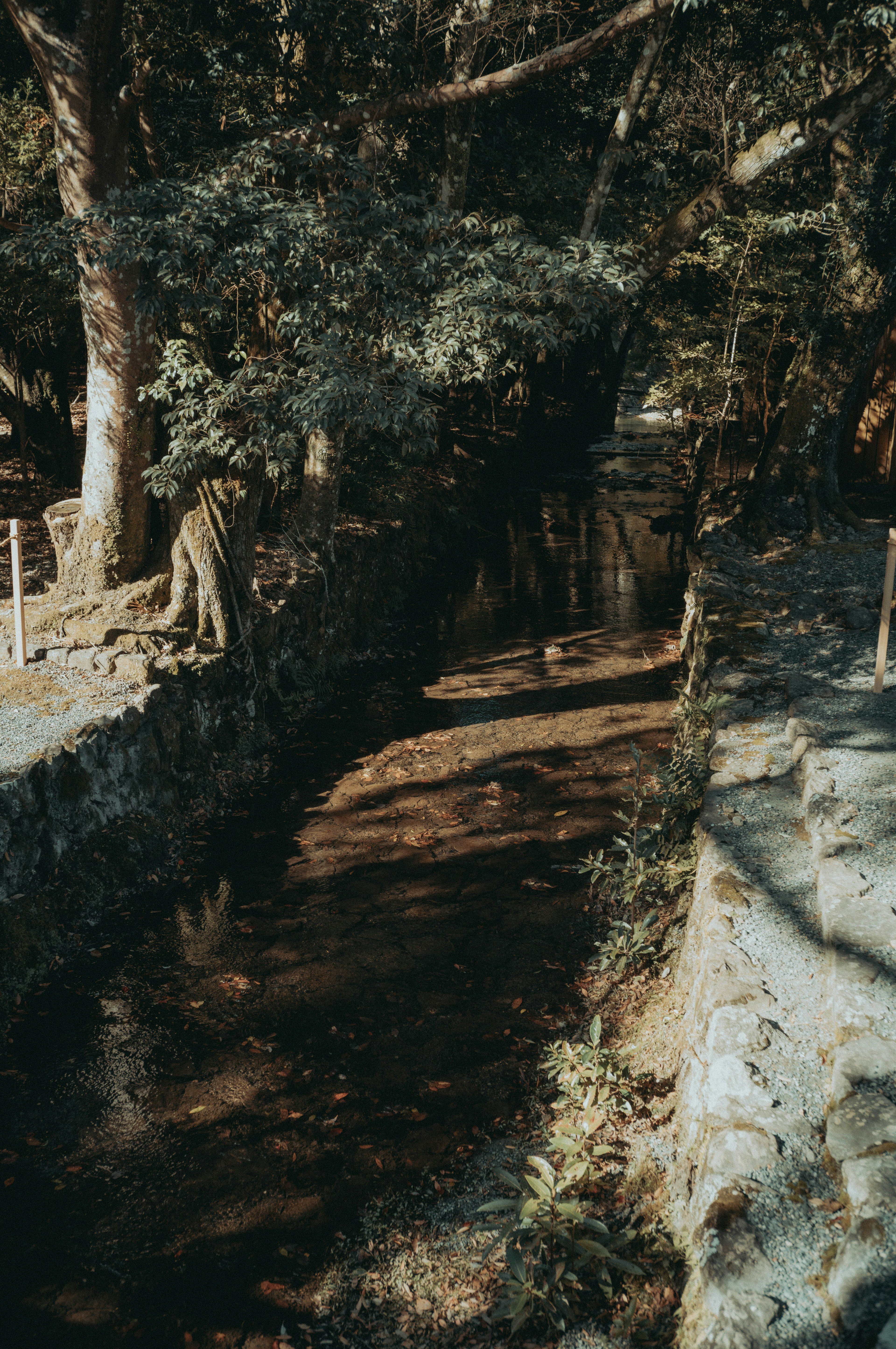 Ein ruhiger Bach, umgeben von üppigem Grün Steinmauern begrenzen den Wasserlauf