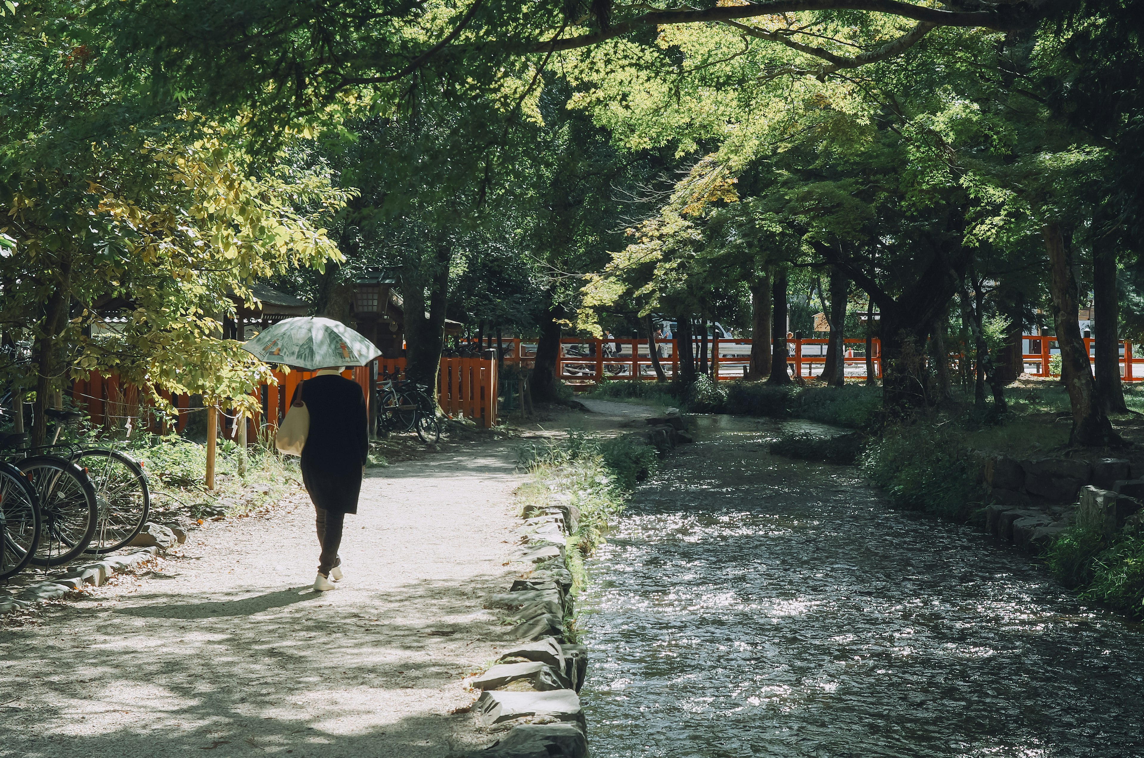 緑の木々に囲まれた小道を傘をさして歩く人物