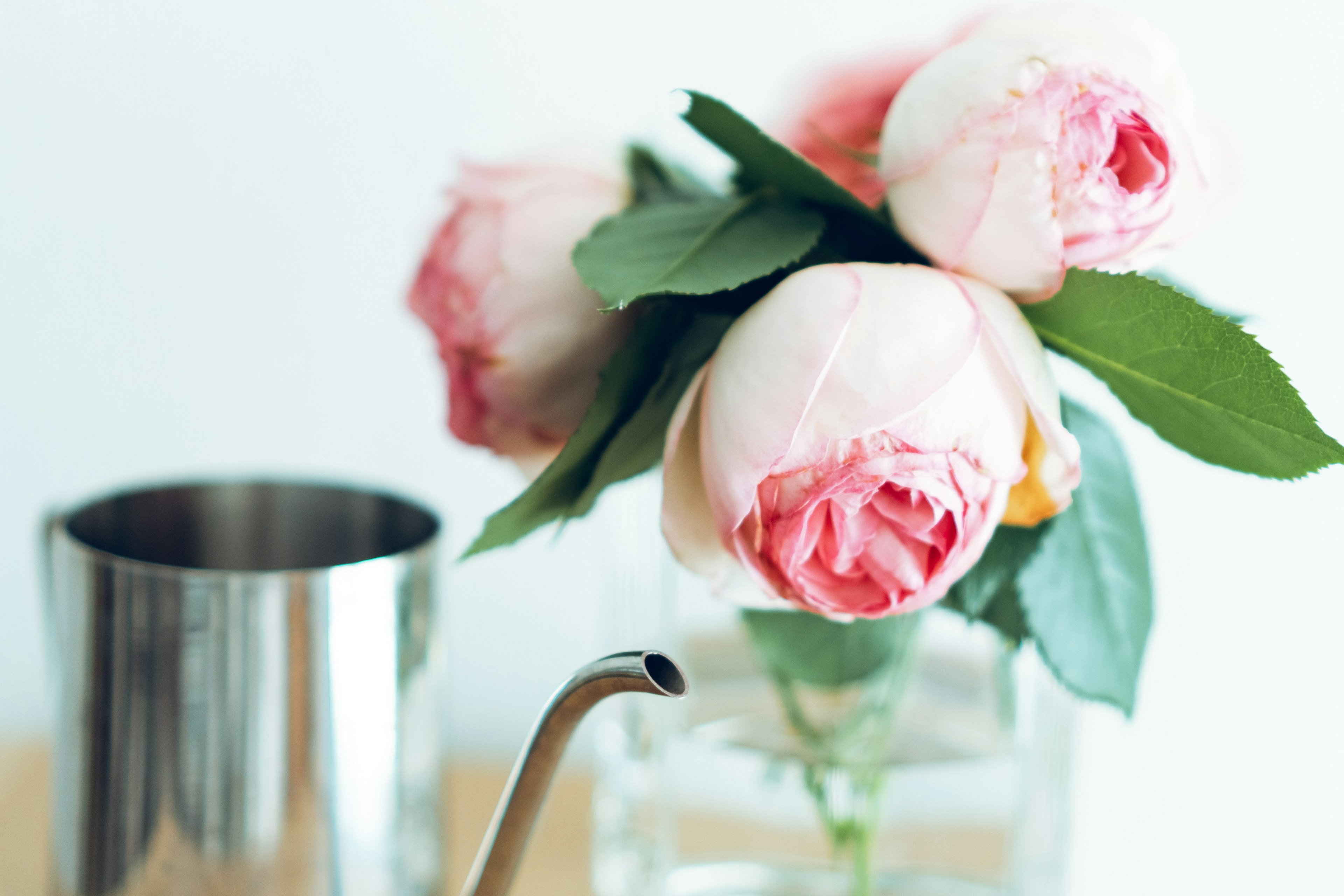 Schöne rosa Rosen in einer Glasvase mit einer metallischen Gießkanne