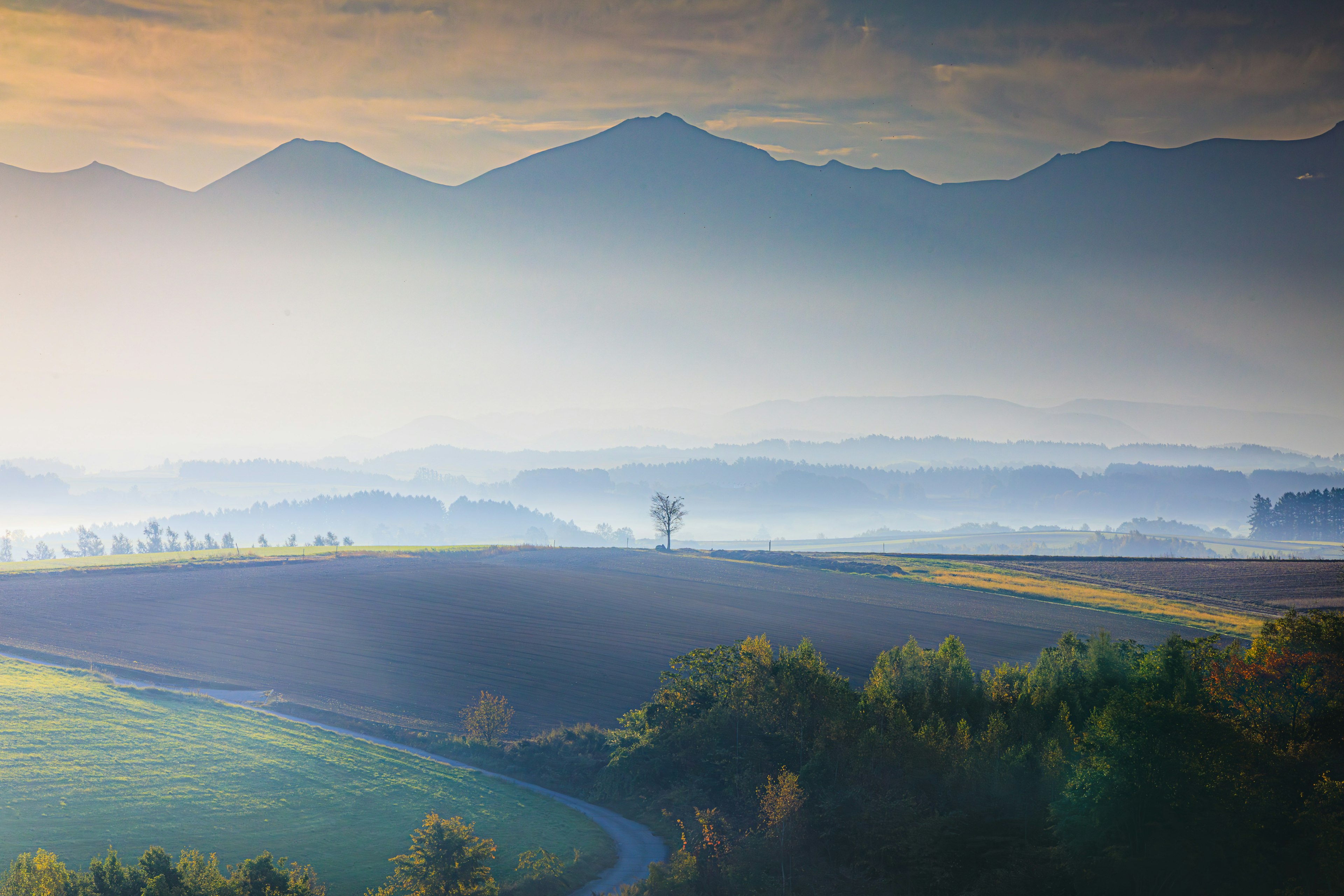 Schöne Landschaft mit nebligen Bergen und weitläufigen Feldern