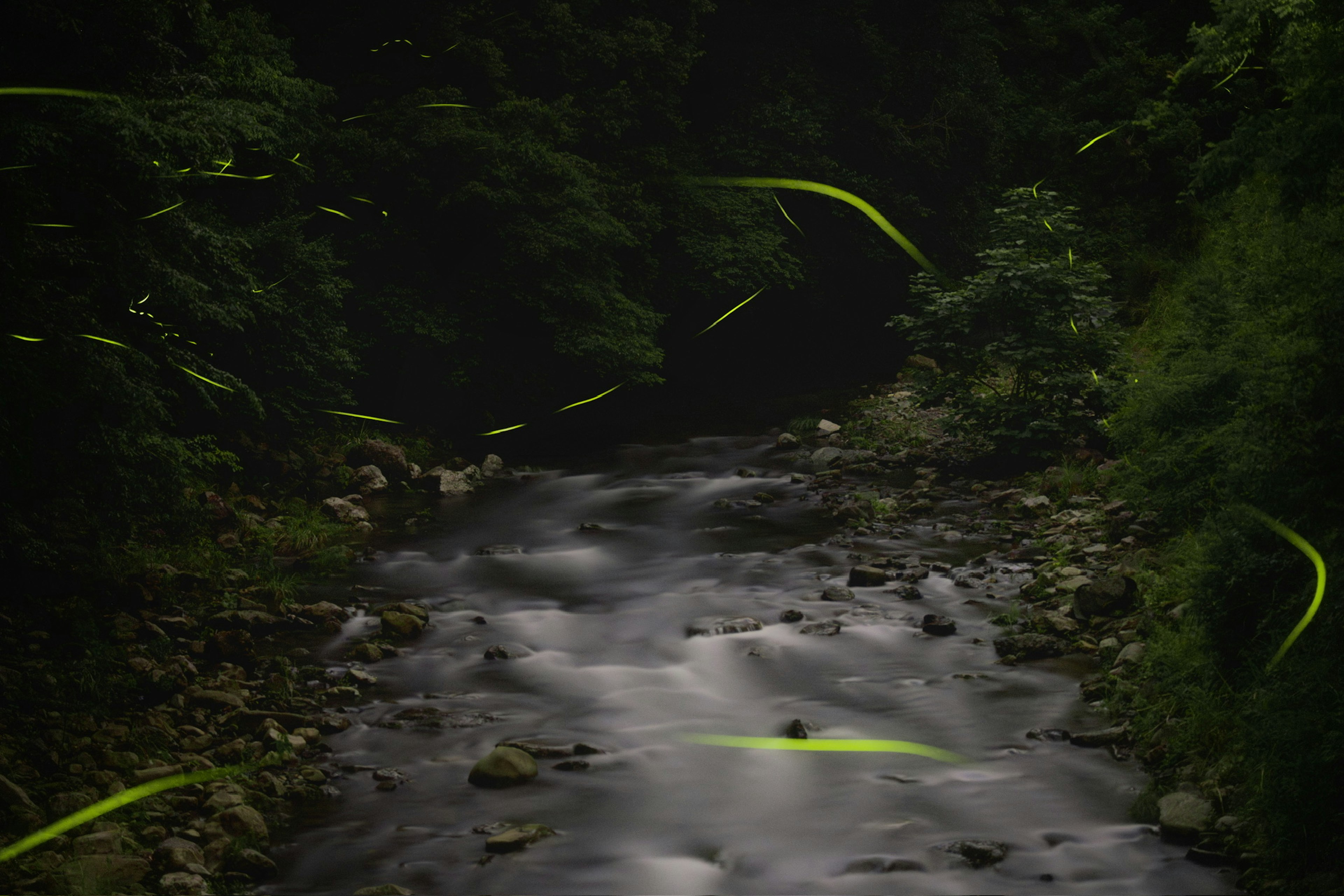 photo-s1QujsHIDPlSeC4nZ4oE-image