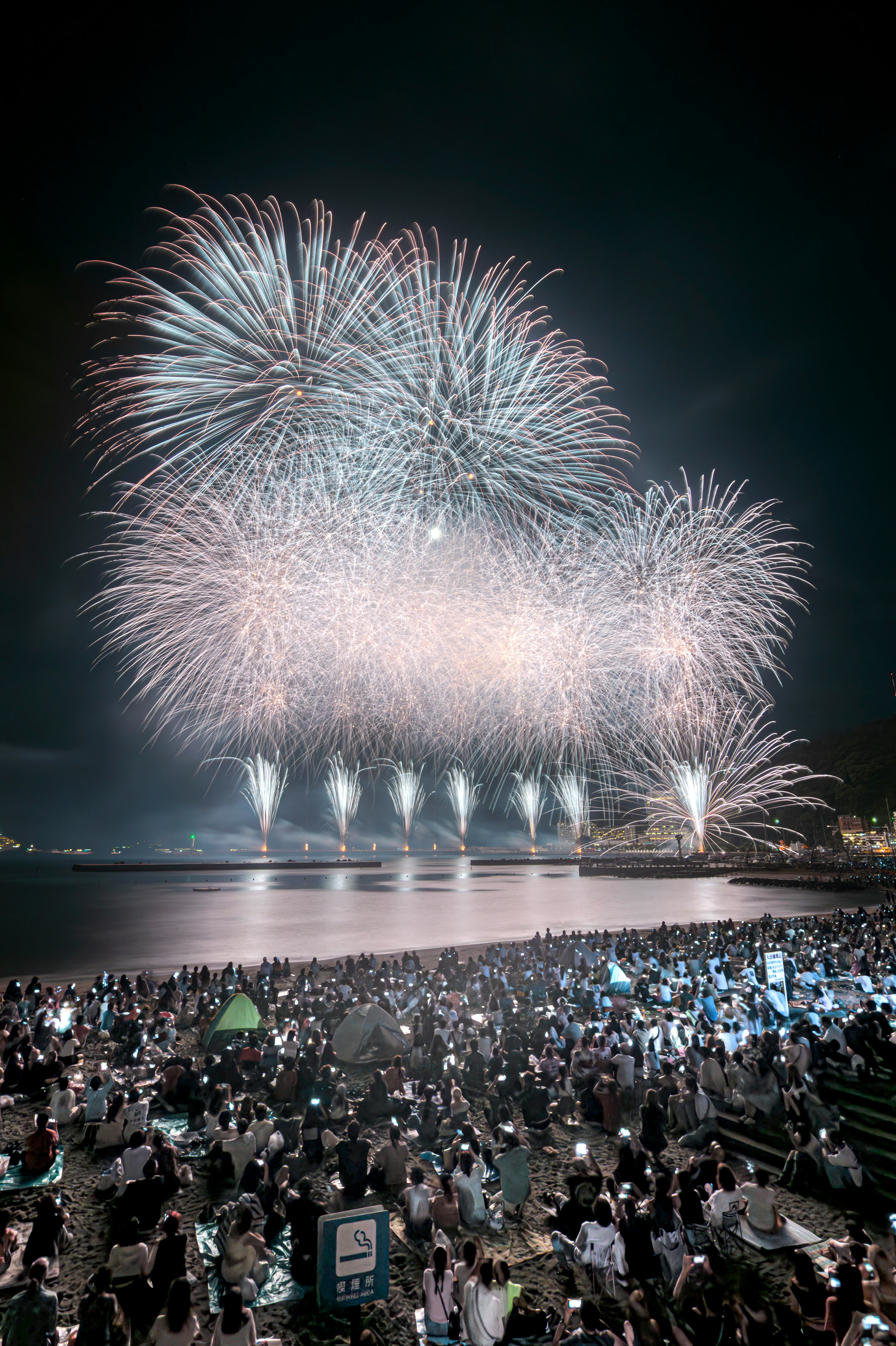 夜空に打ち上げられた花火と海岸の観客