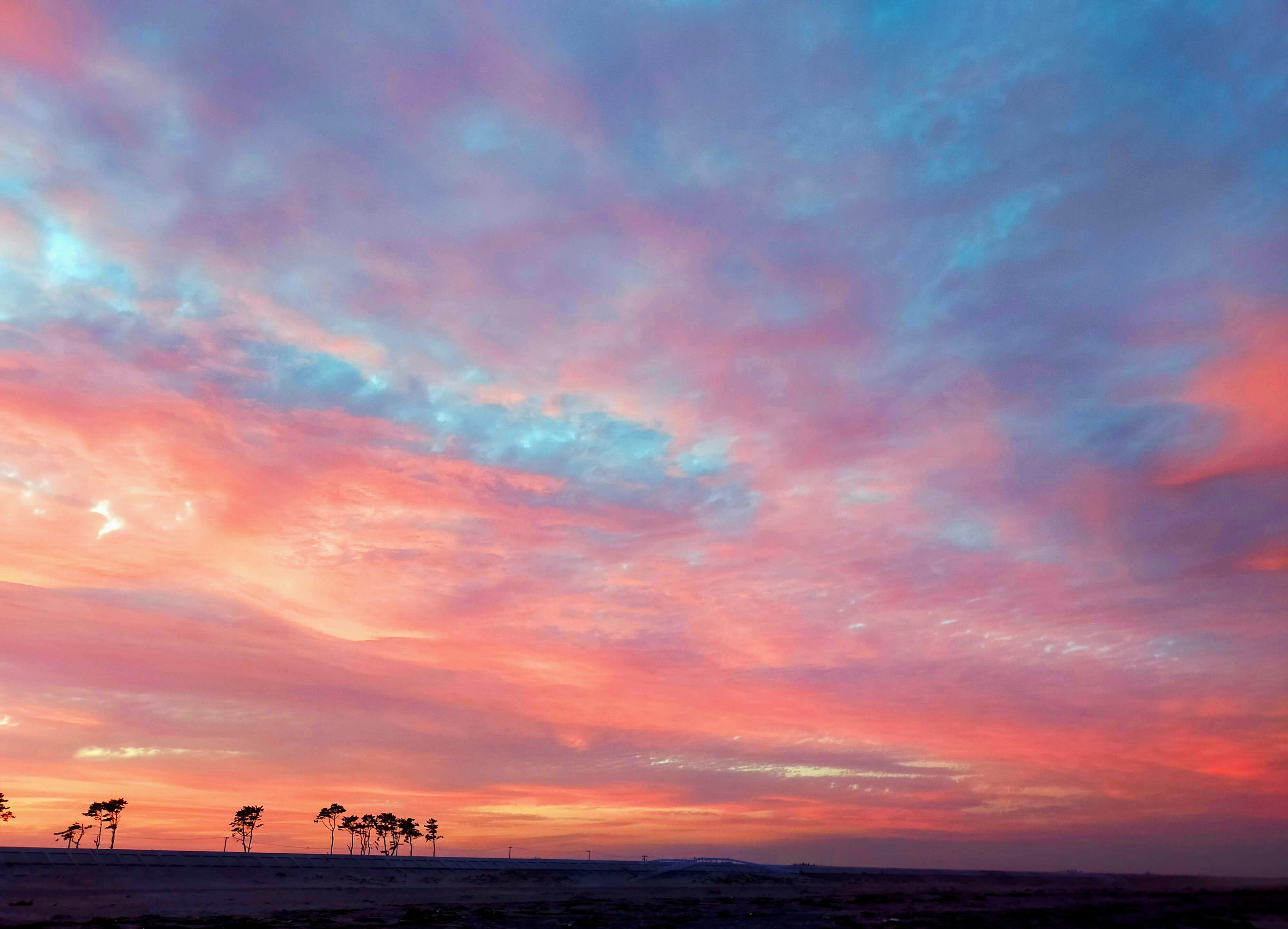 Cielo vibrante al atardecer con nubes azules y rosas y árboles en silueta