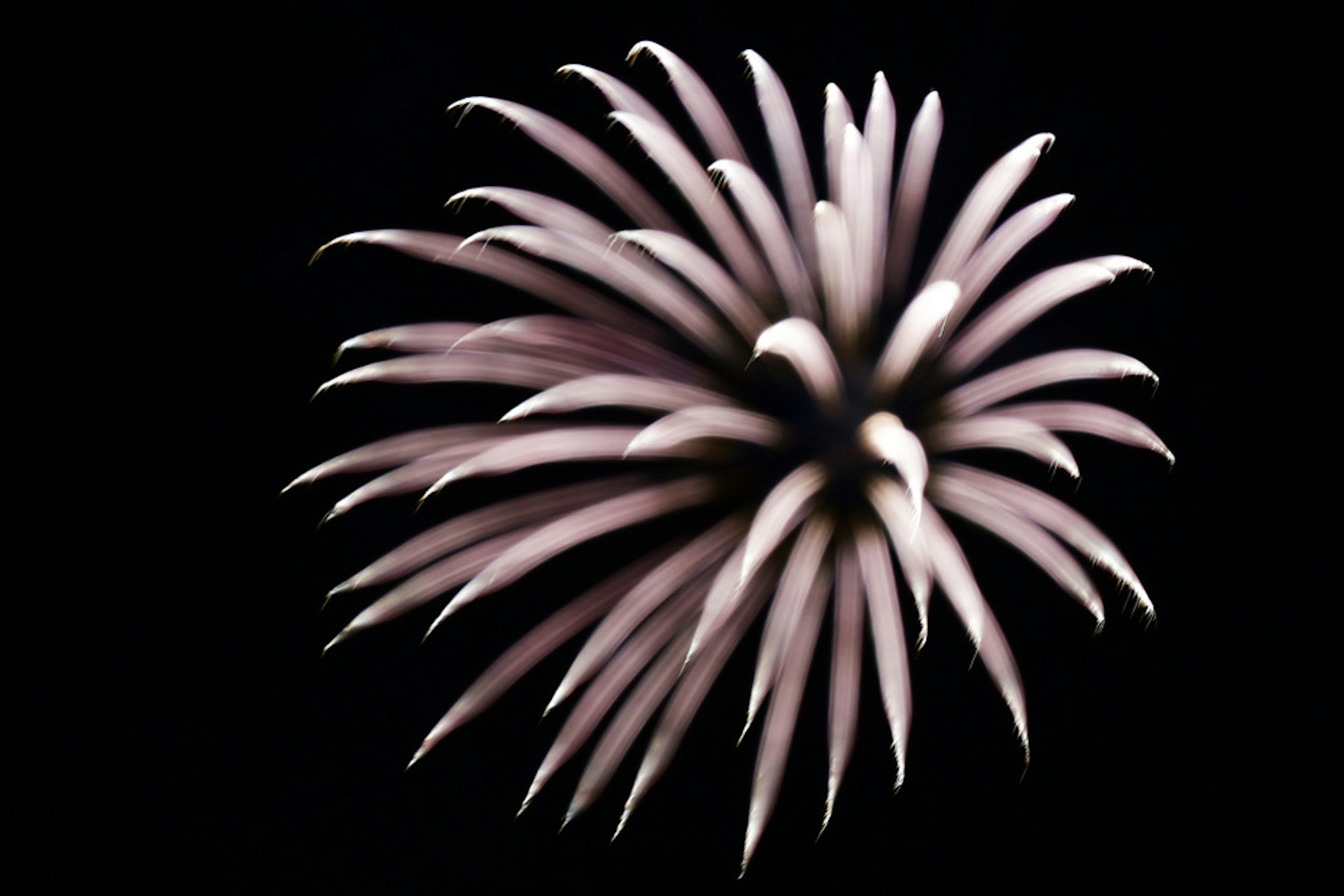 White firework-like shape against a black background