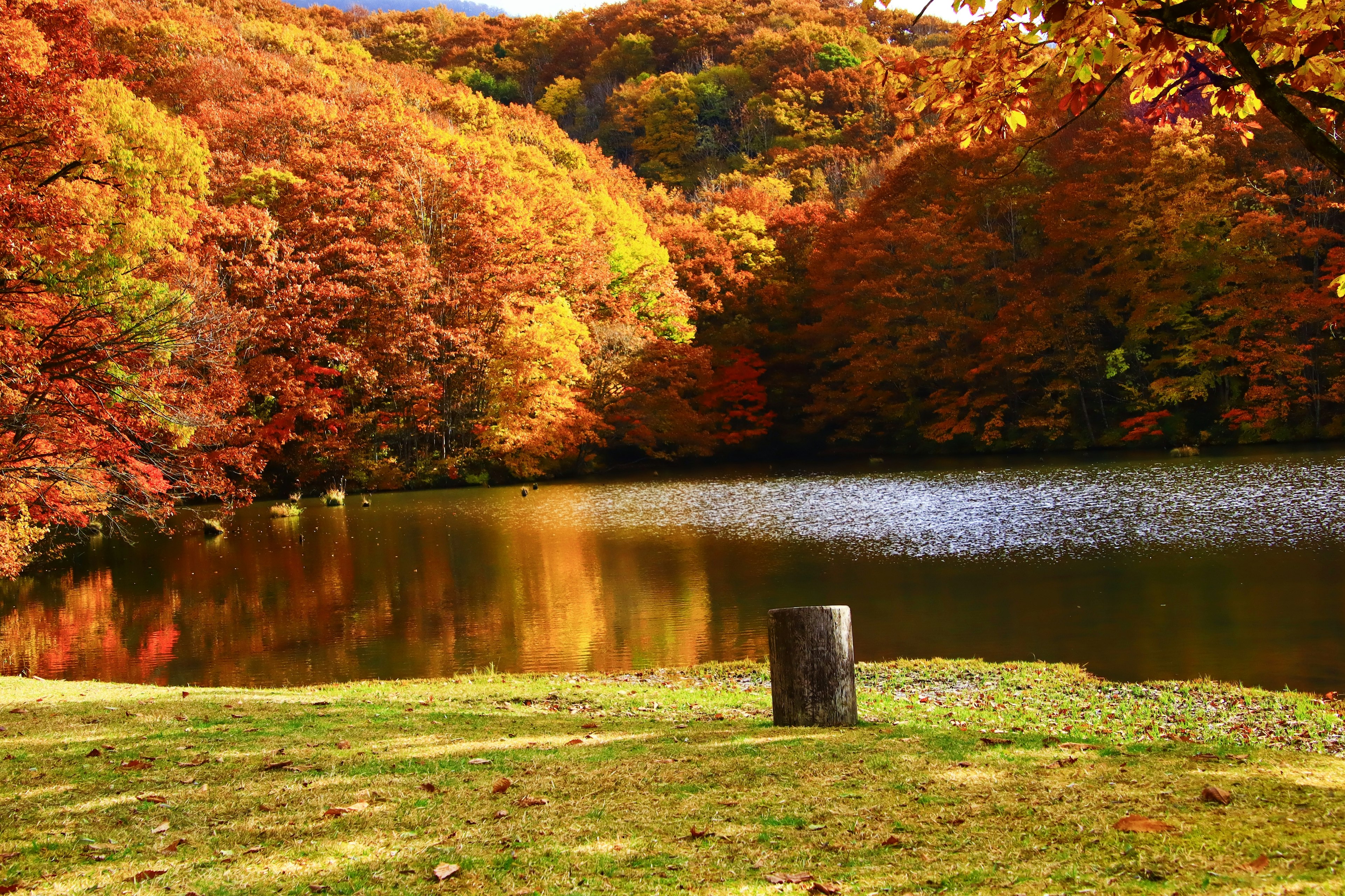 Paesaggio autunnale pittoresco con alberi colorati che si riflettono sulla superficie del lago