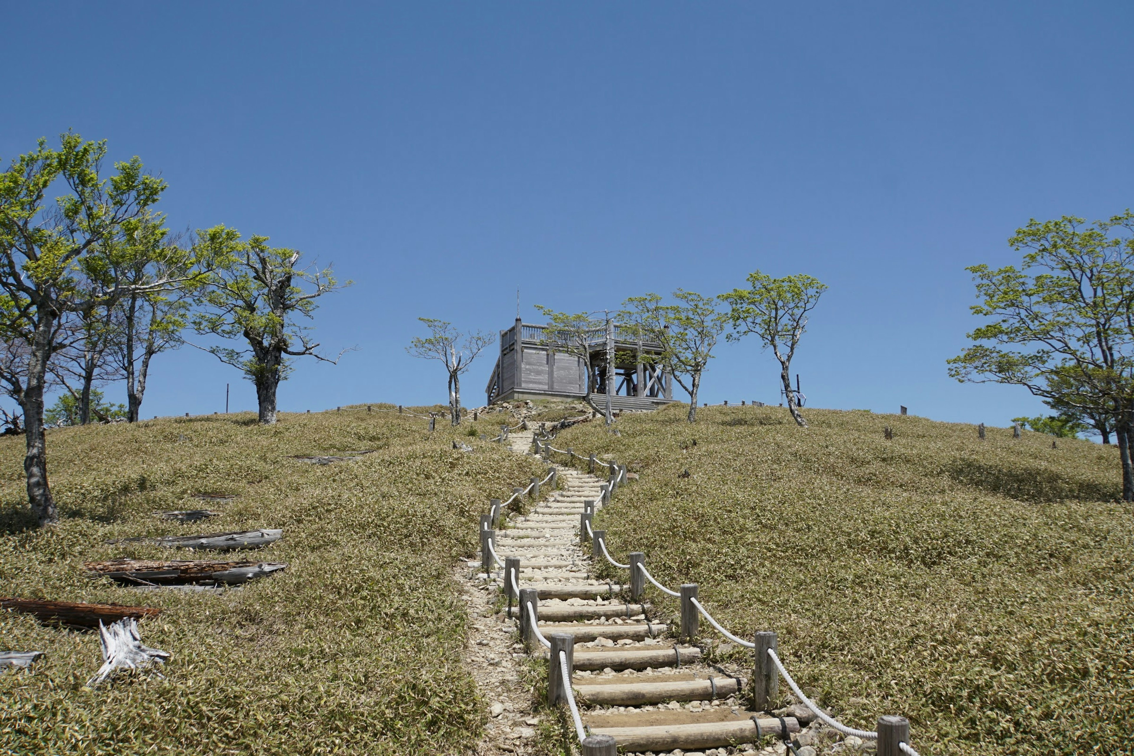 Vue panoramique d'escaliers en bois menant à une cabane sur une colline verte sous un ciel bleu