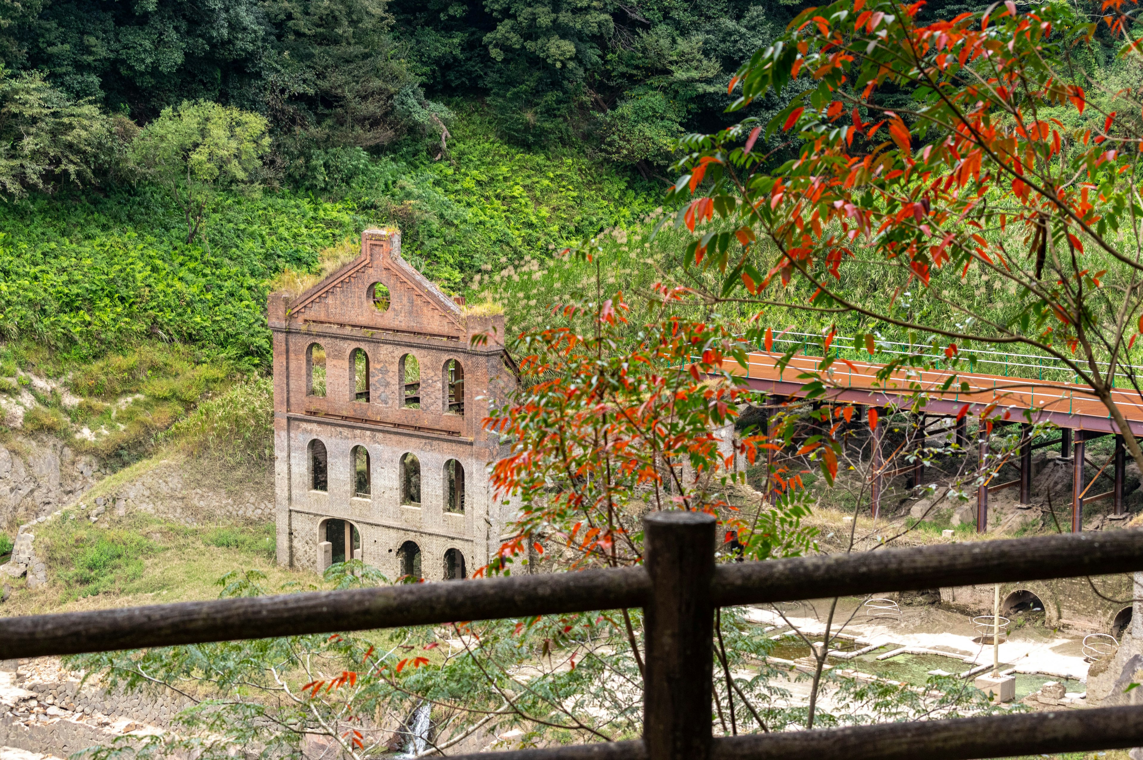 Bâtiment en ruine entouré de verdure luxuriante