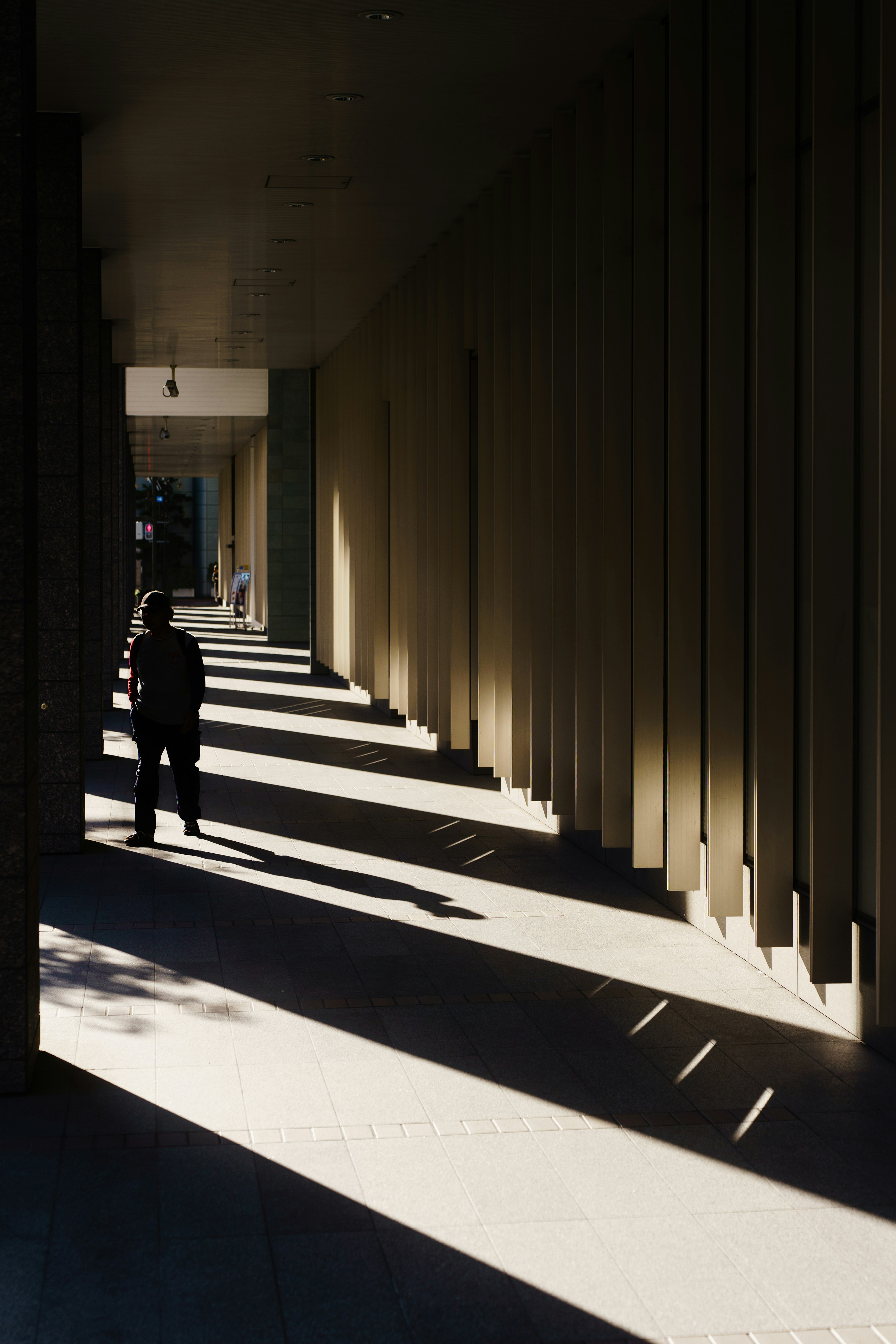 Person walking in a shadowy modern corridor with long shadows