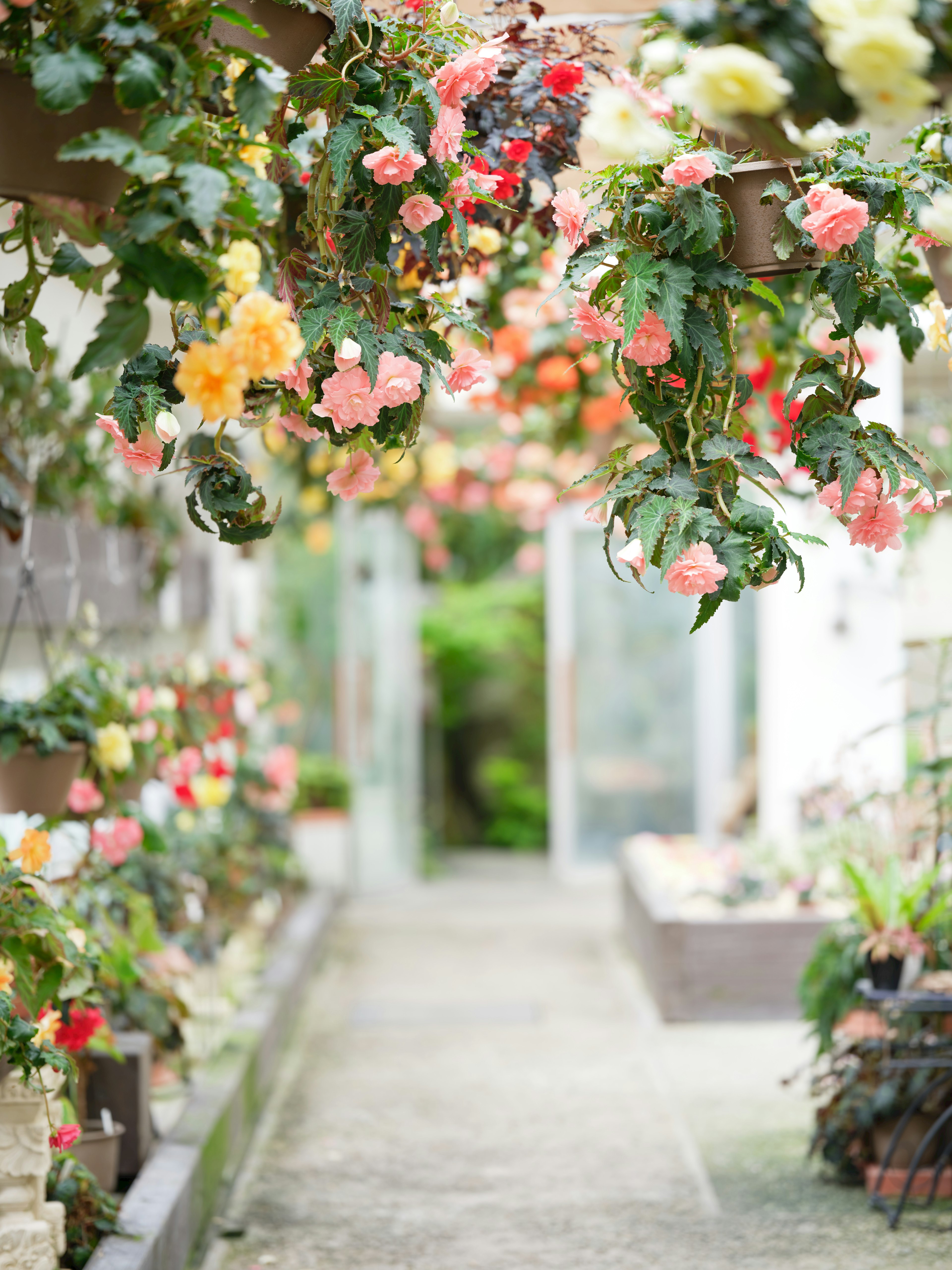 Sentiero decorato con fiori colorati in un giardino