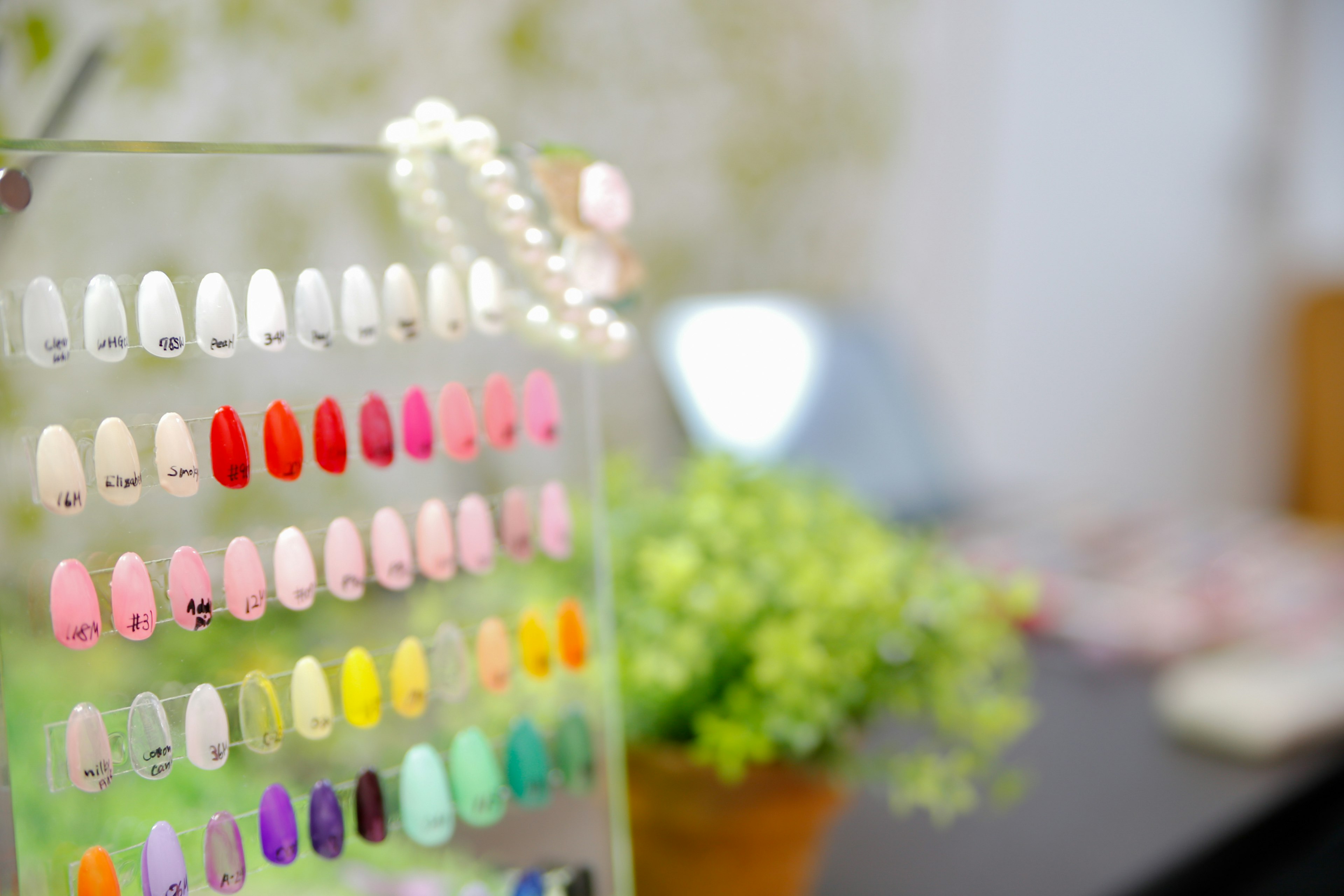 Tabla de colores de esmalte de uñas con una planta verde en el interior de un salón