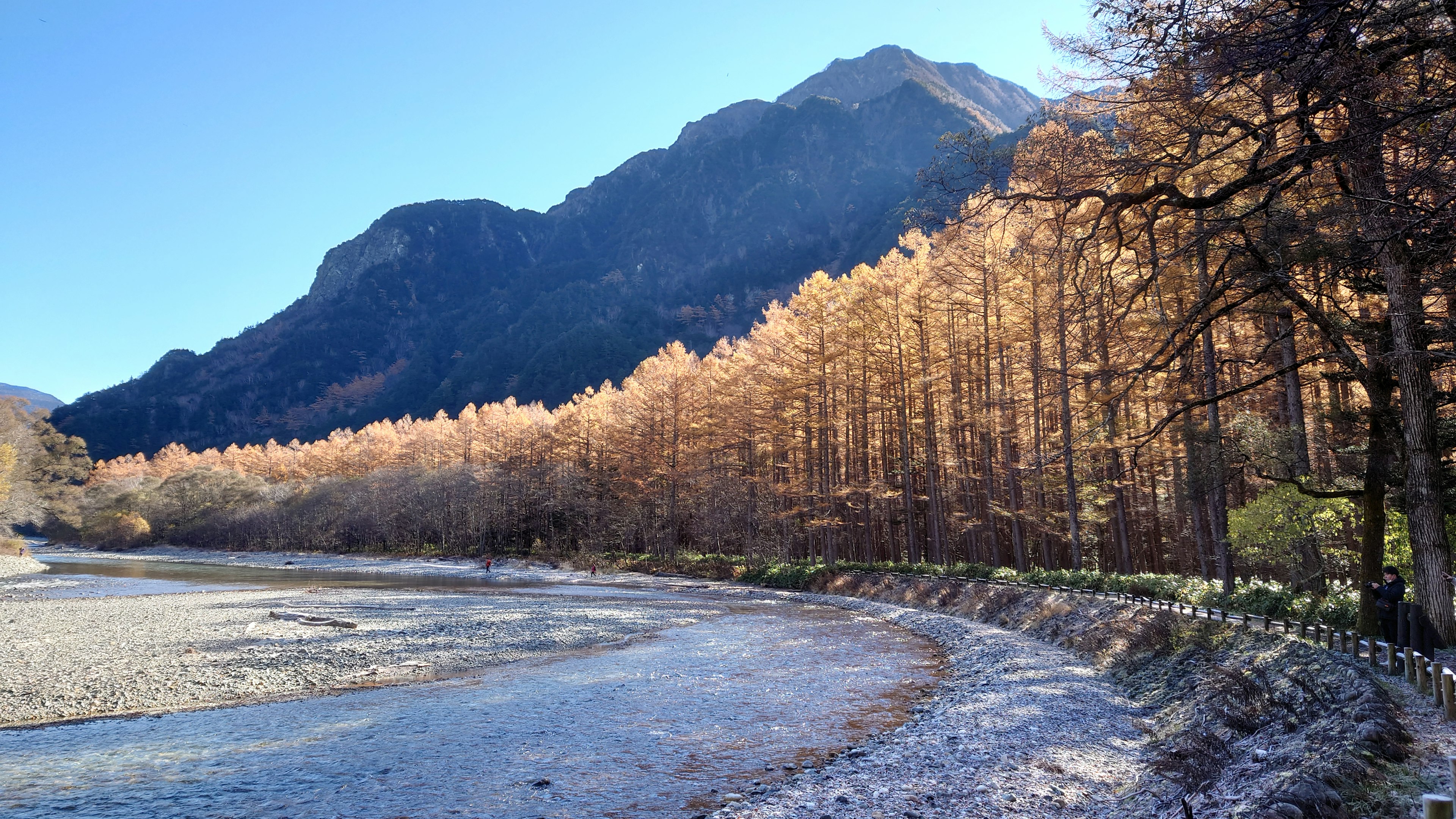 Landschaftsansicht eines Flusses mit goldenen Bäumen und Bergen