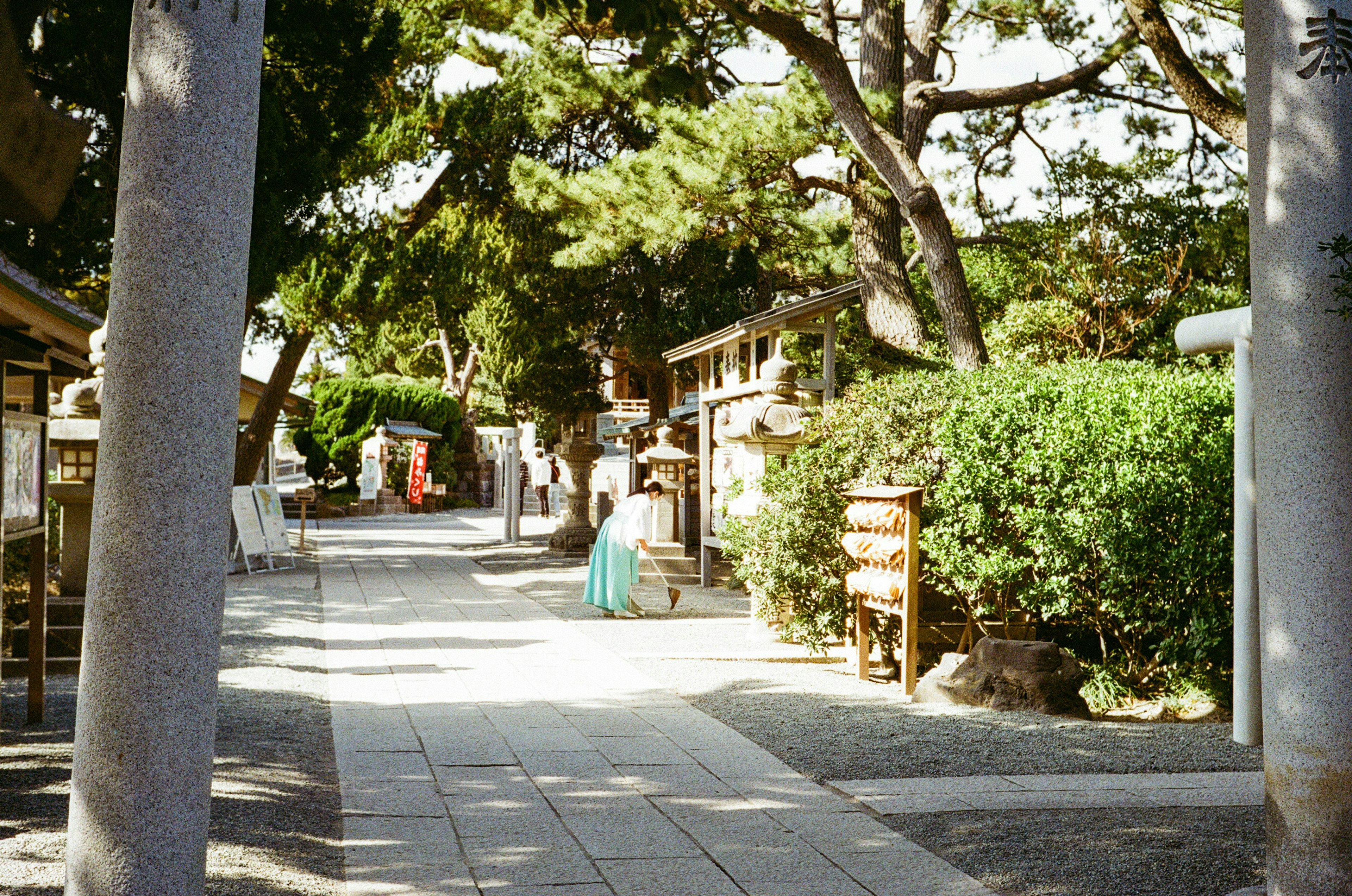 静かな神社の参道に沿った道と緑豊かな景色