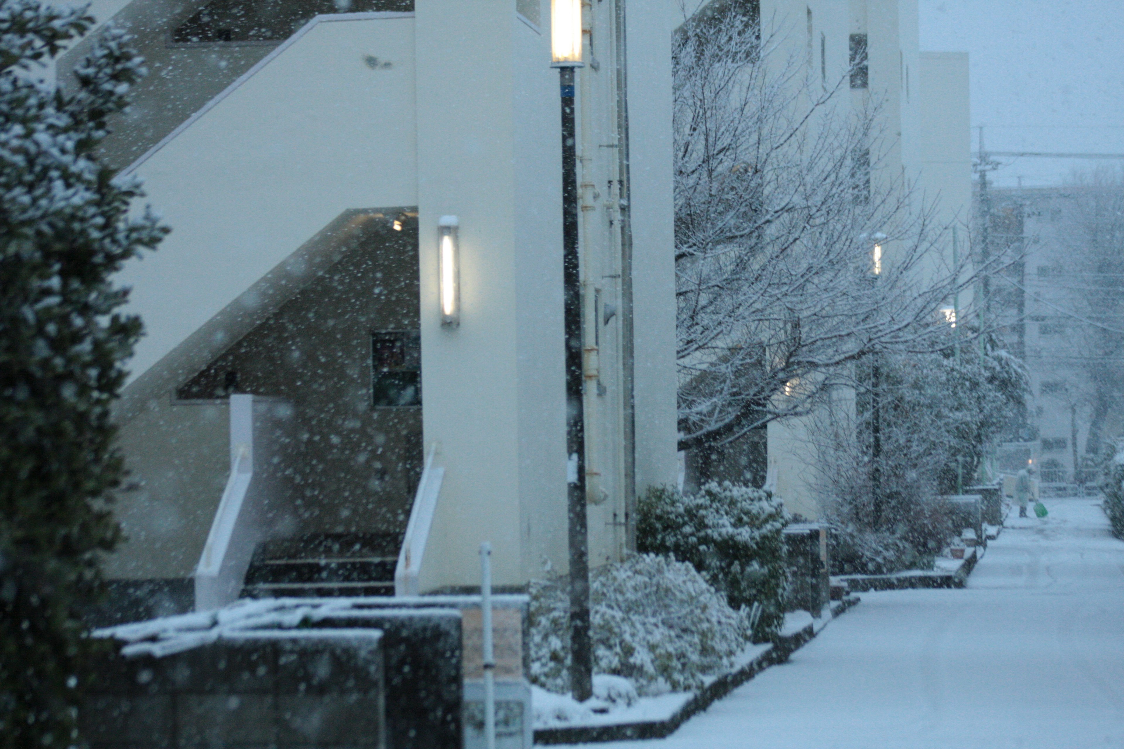 Quiet street scene with falling snow and white walkway