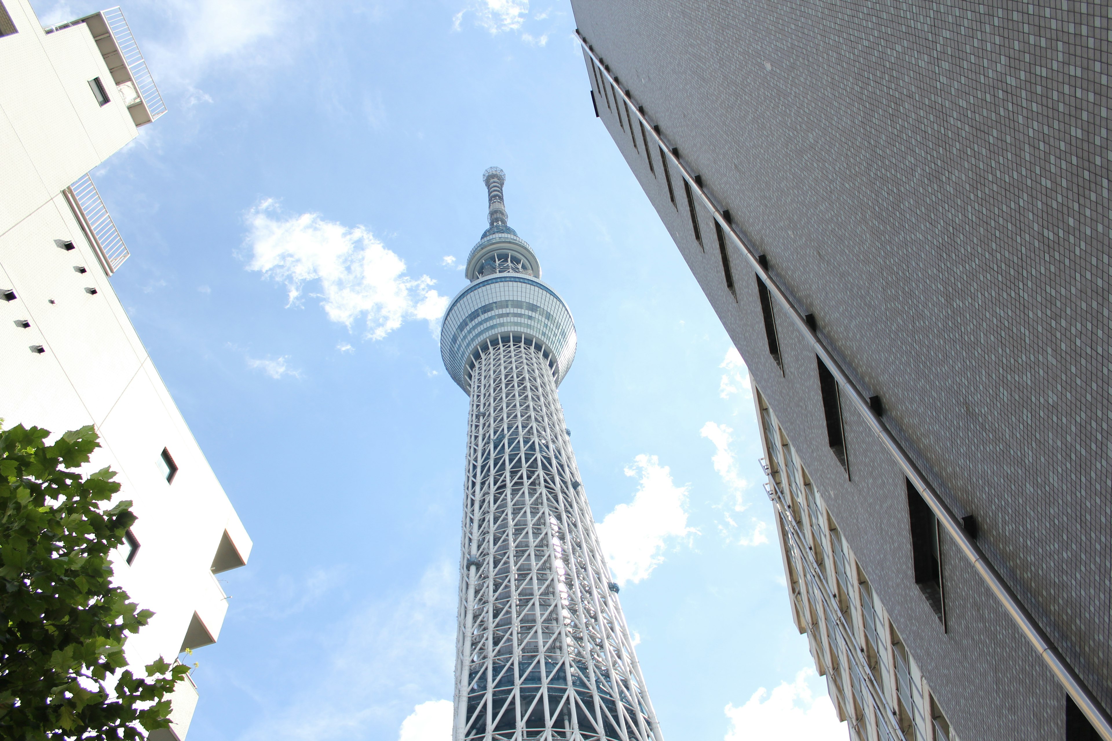 View of Tokyo Skytree from between tall buildings