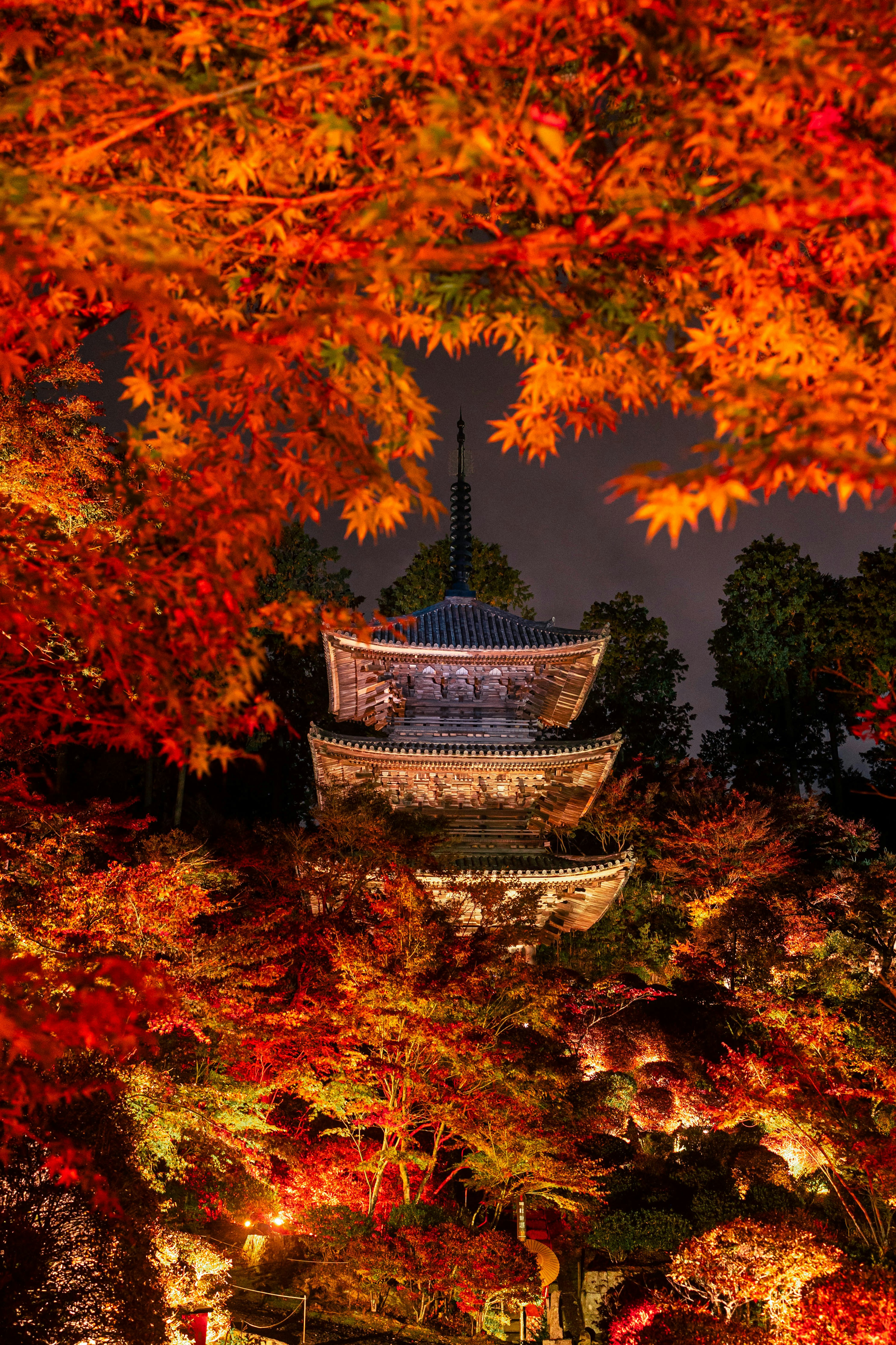 美しい秋の紅葉に囲まれた日本の五重塔の夜景