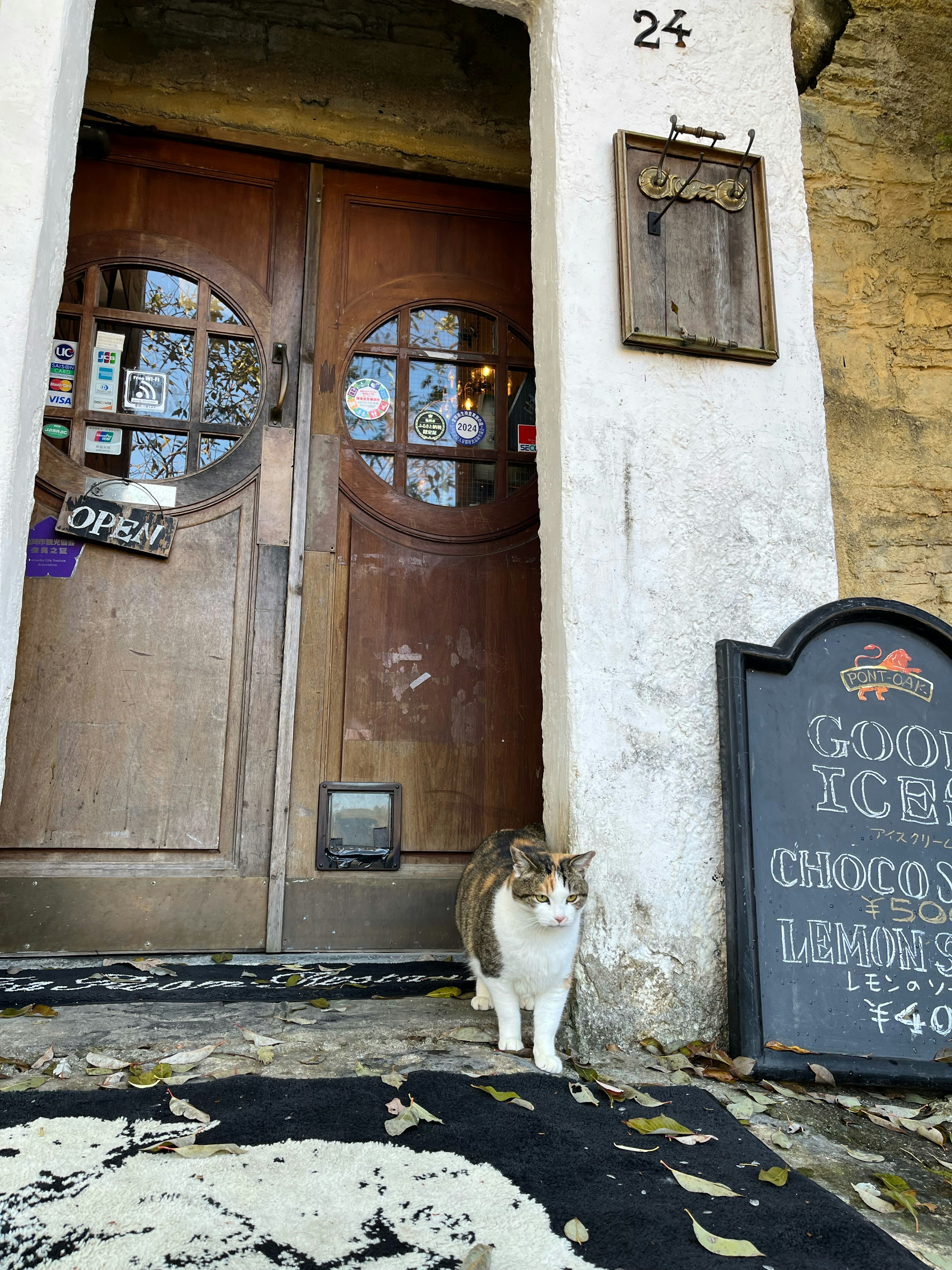 Un chat se tenant devant l'entrée d'un vieux bâtiment avec des portes en bois