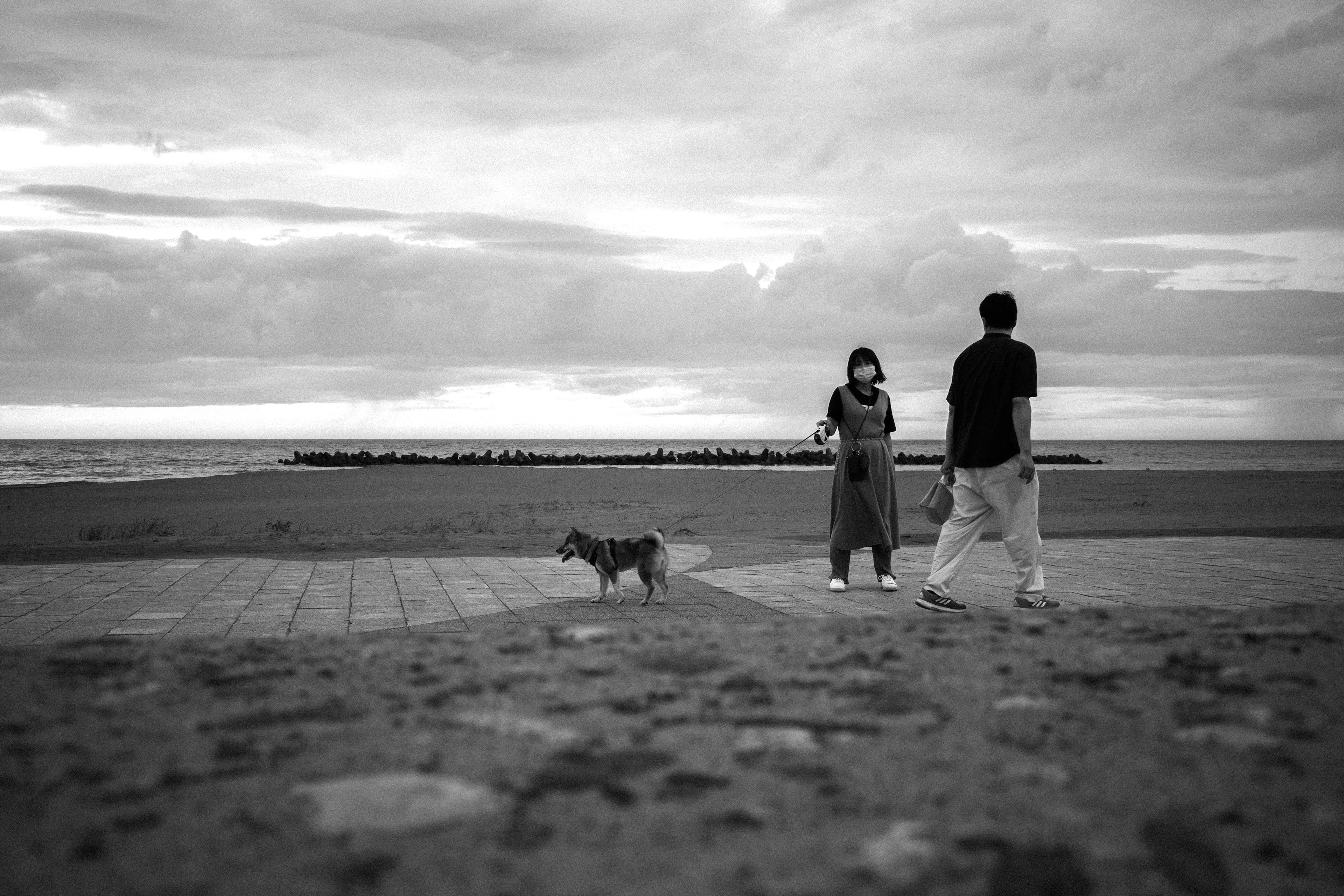 Gambar hitam putih pasangan berjalan di pantai dengan anjing