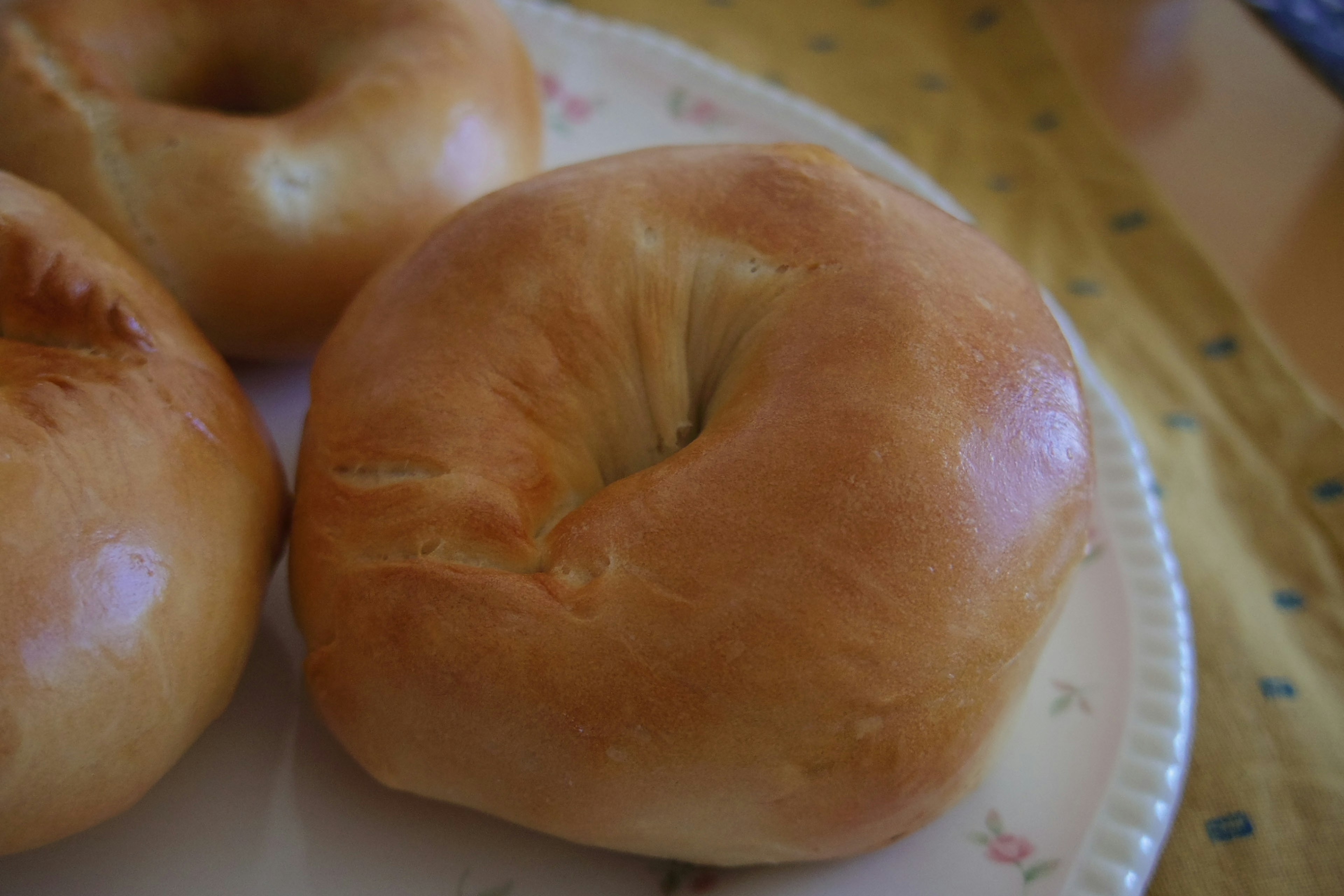 Freshly baked bagels arranged on a plate