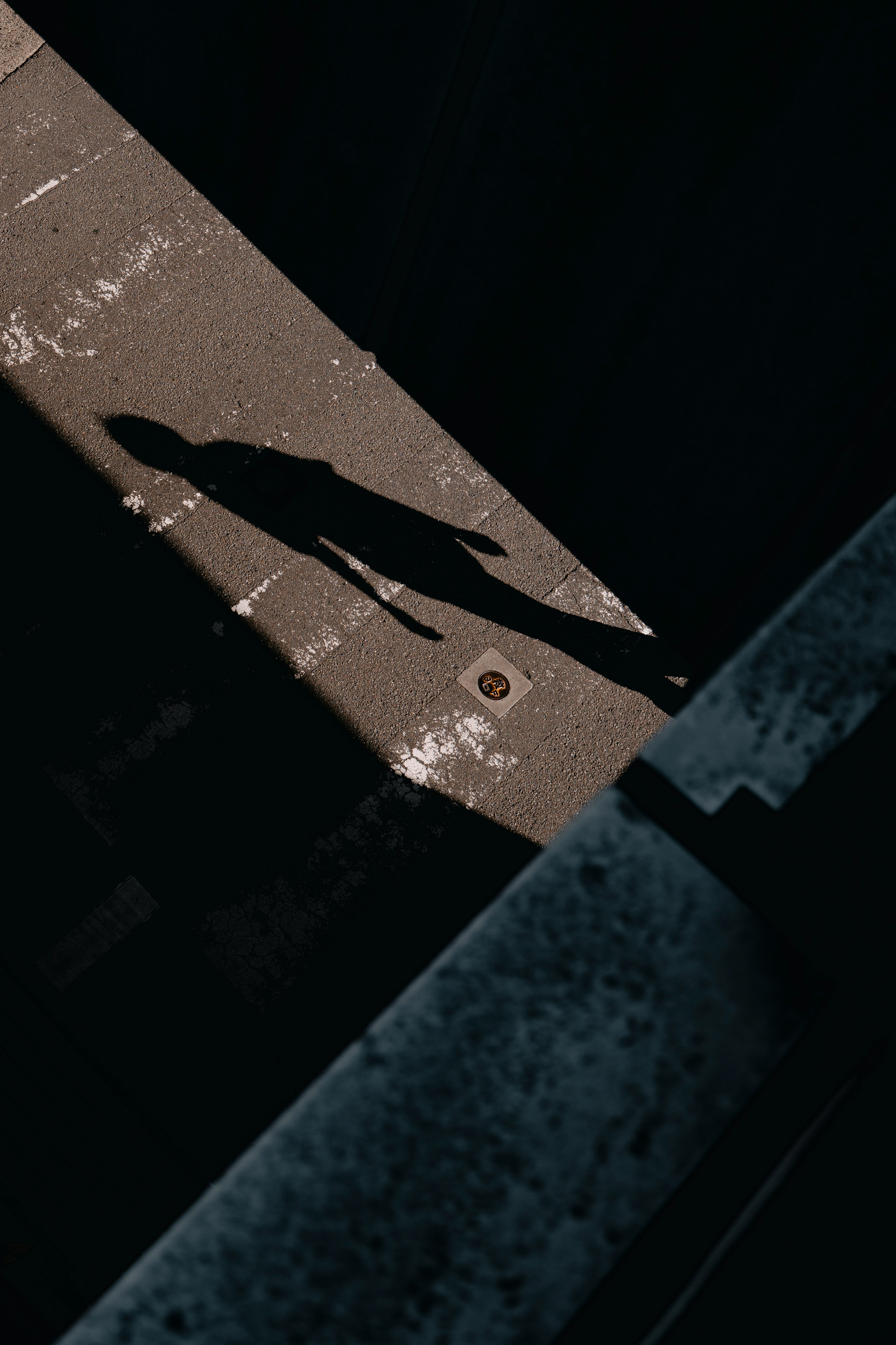 photo-s5c2jSB56zzOuIwMDk6M-image