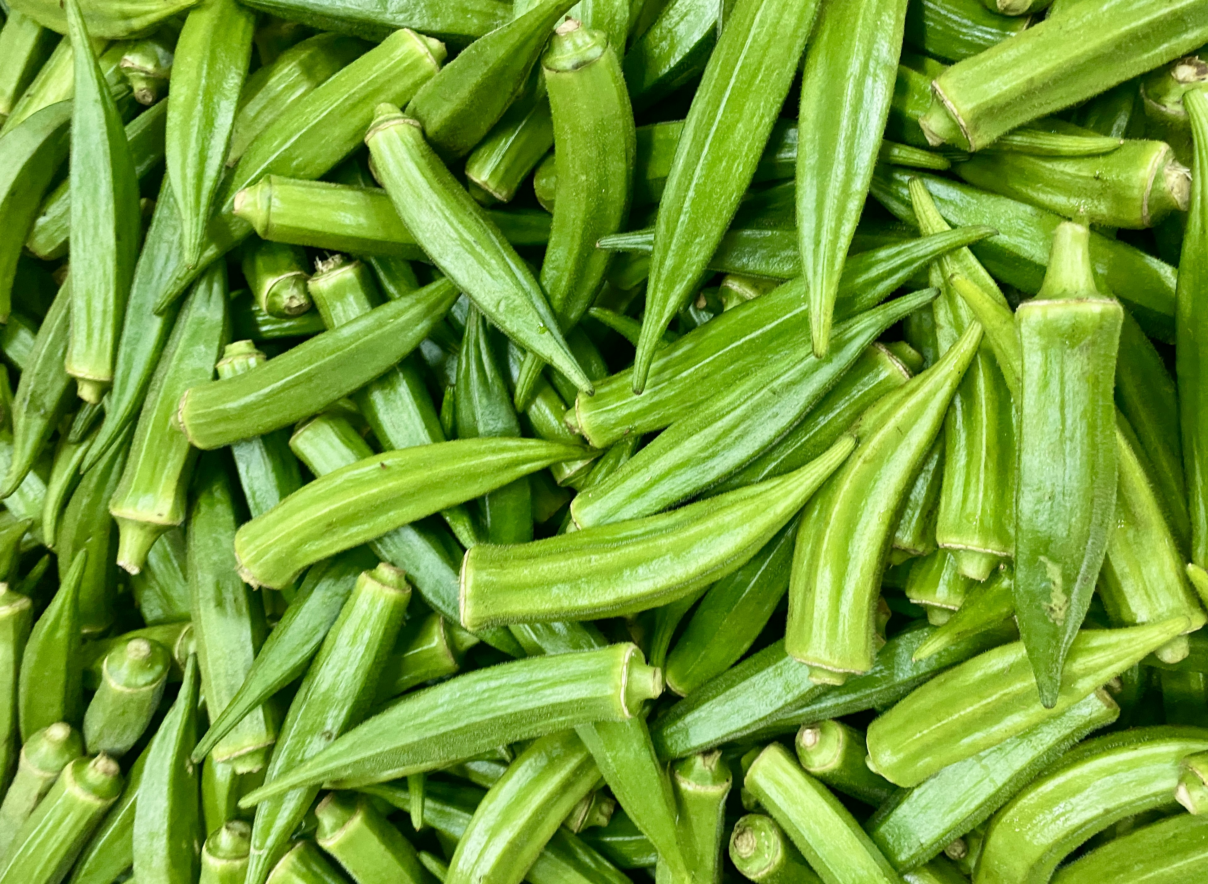 Un mucchio di baccelli di okra freschi impilati