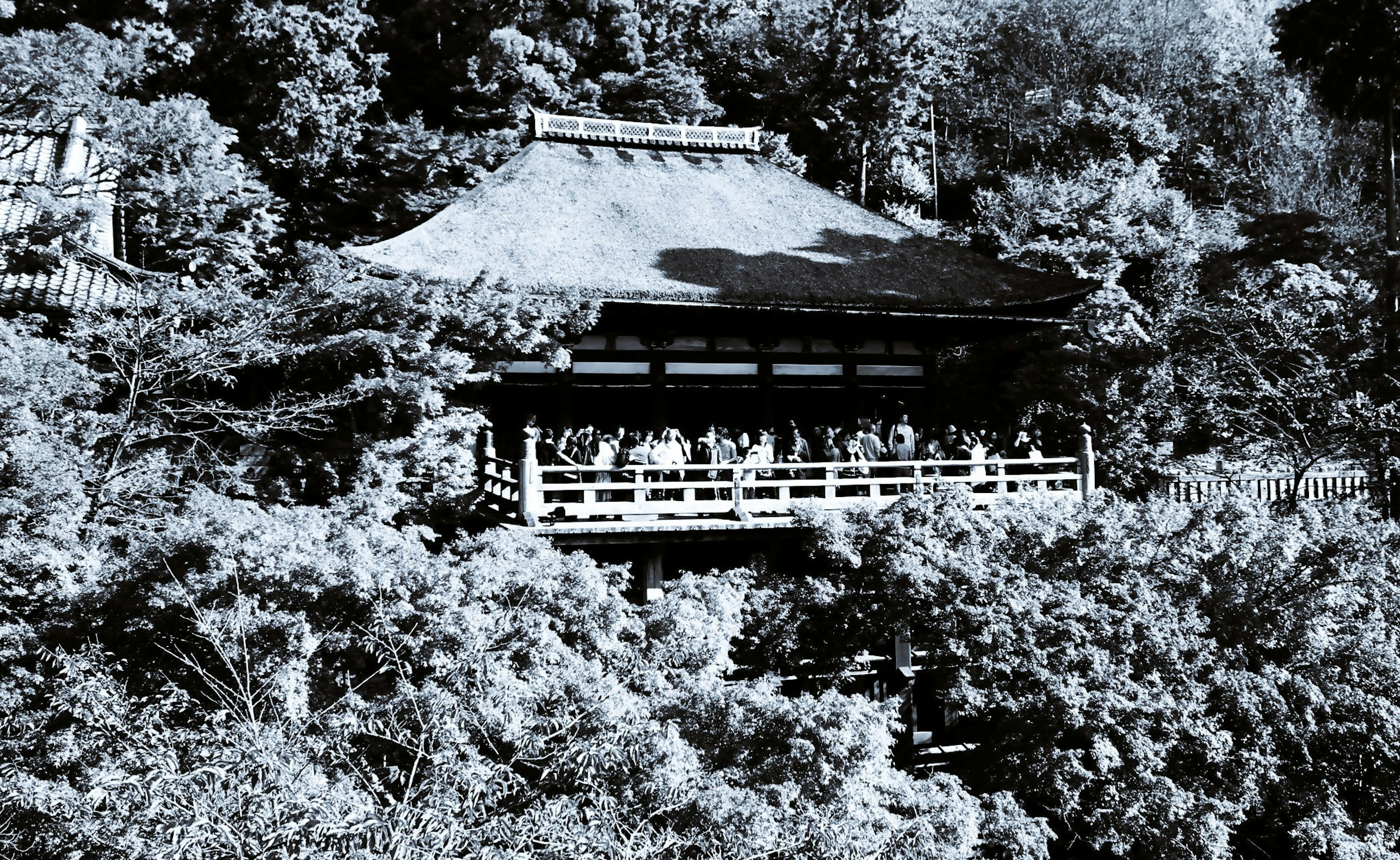 Schwarzweißfoto eines traditionellen japanischen Gebäudes, umgeben von Bäumen