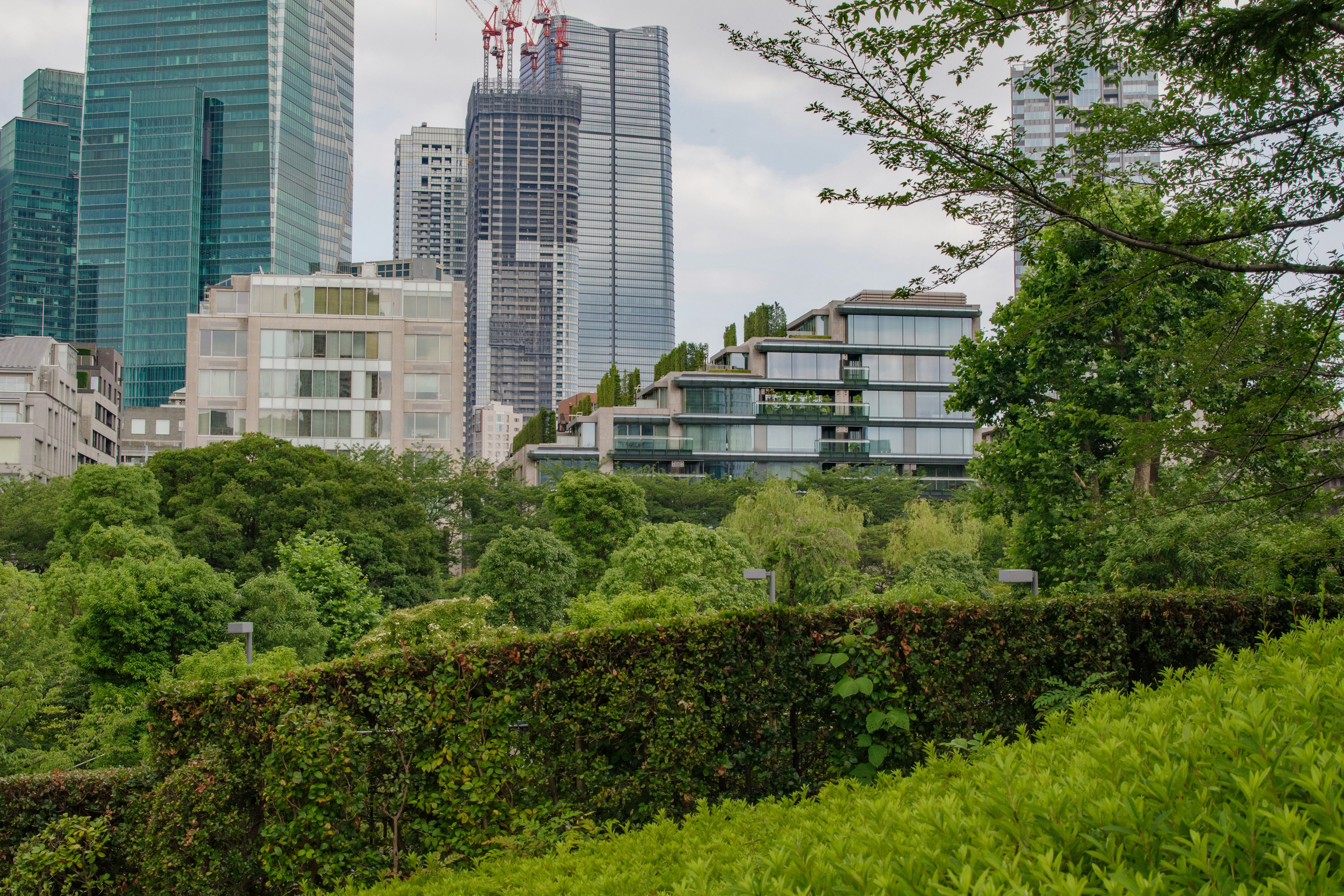 Pemandangan taman yang subur dengan gedung pencakar langit modern di latar belakang