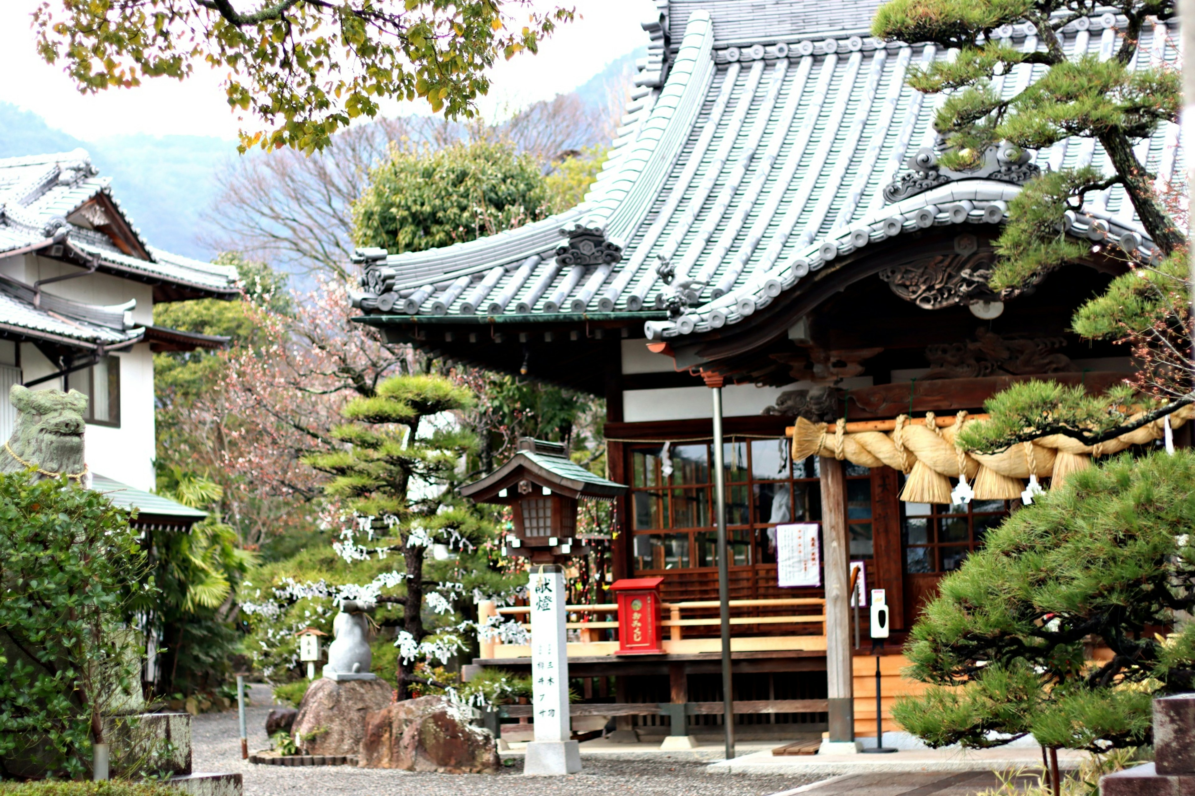 Eksterior kuil Jepang yang indah dengan taman yang tenang