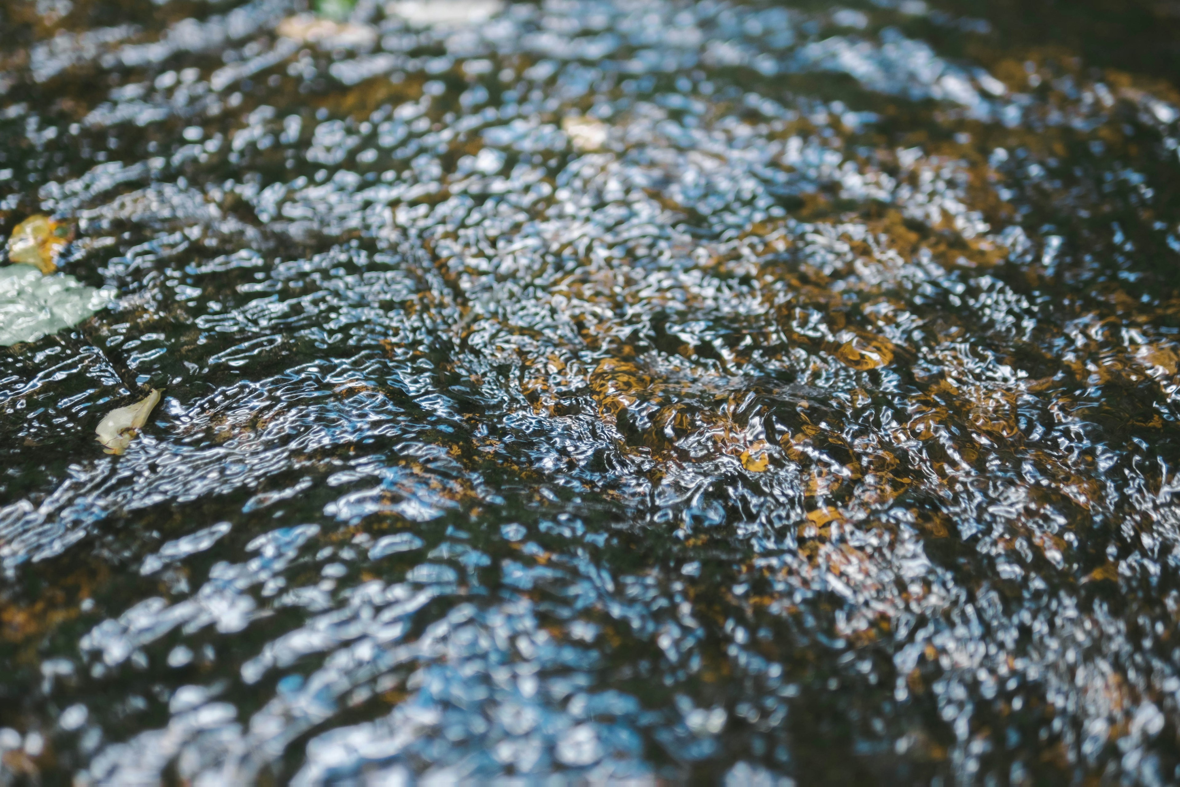 水の流れが映る静かな自然の景色