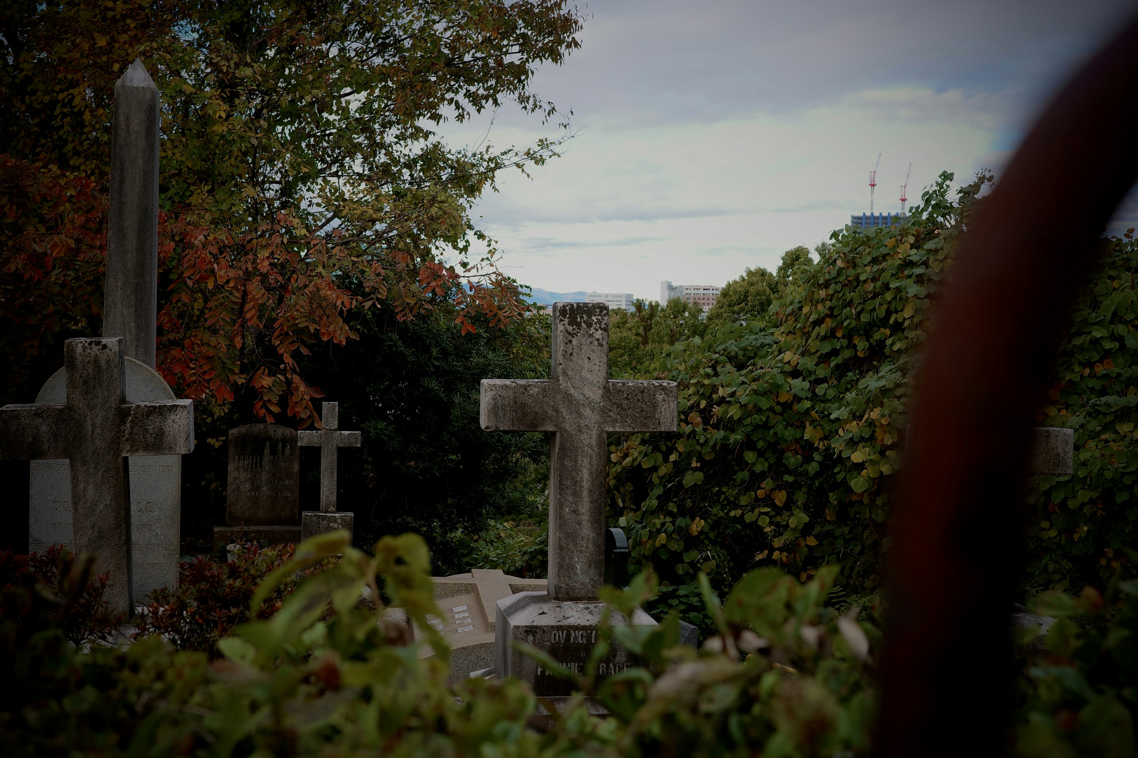 Tombes avec des croix entourées de verdure et de feuilles d'automne