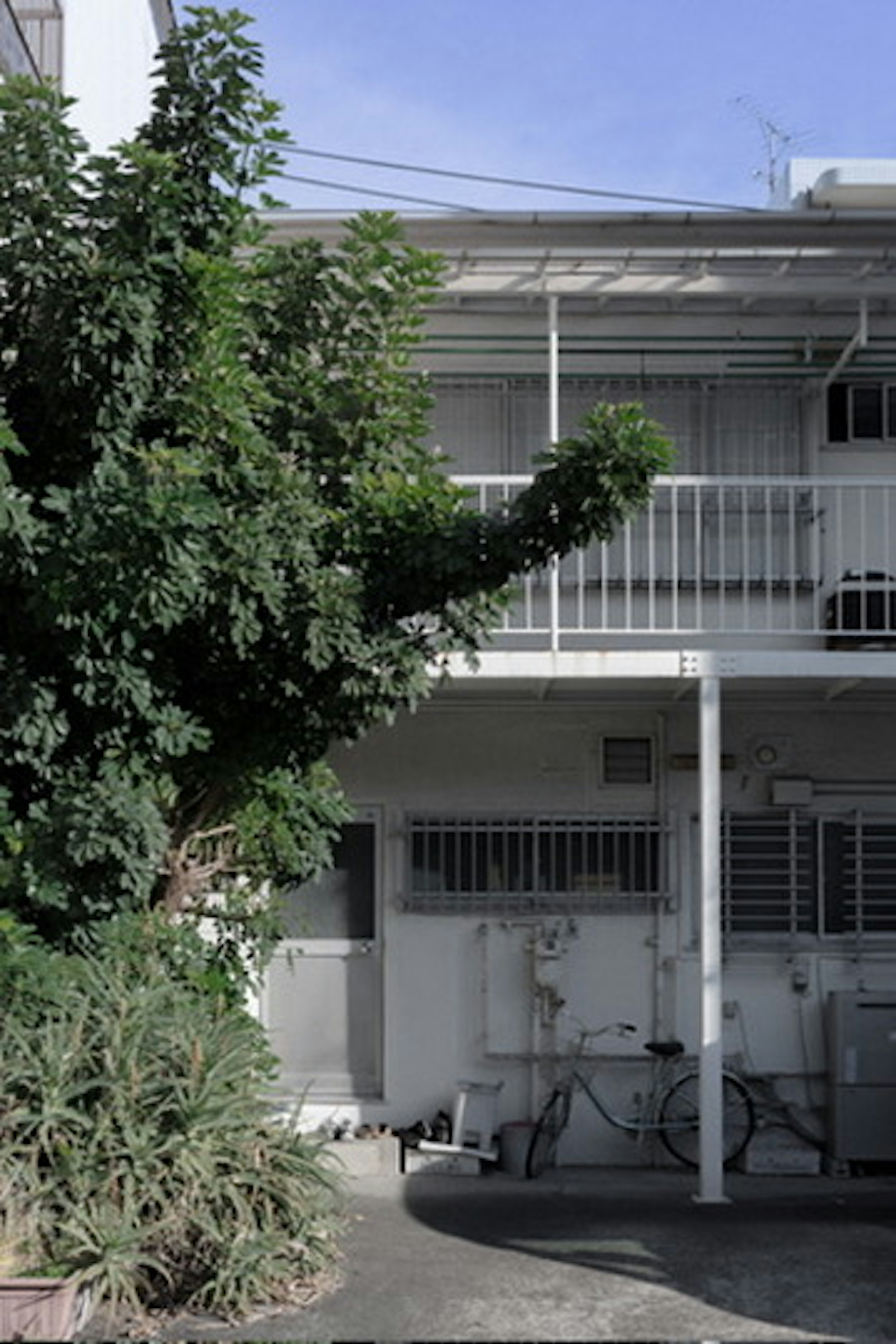 Un edificio blanco con árboles verdes y cielo azul