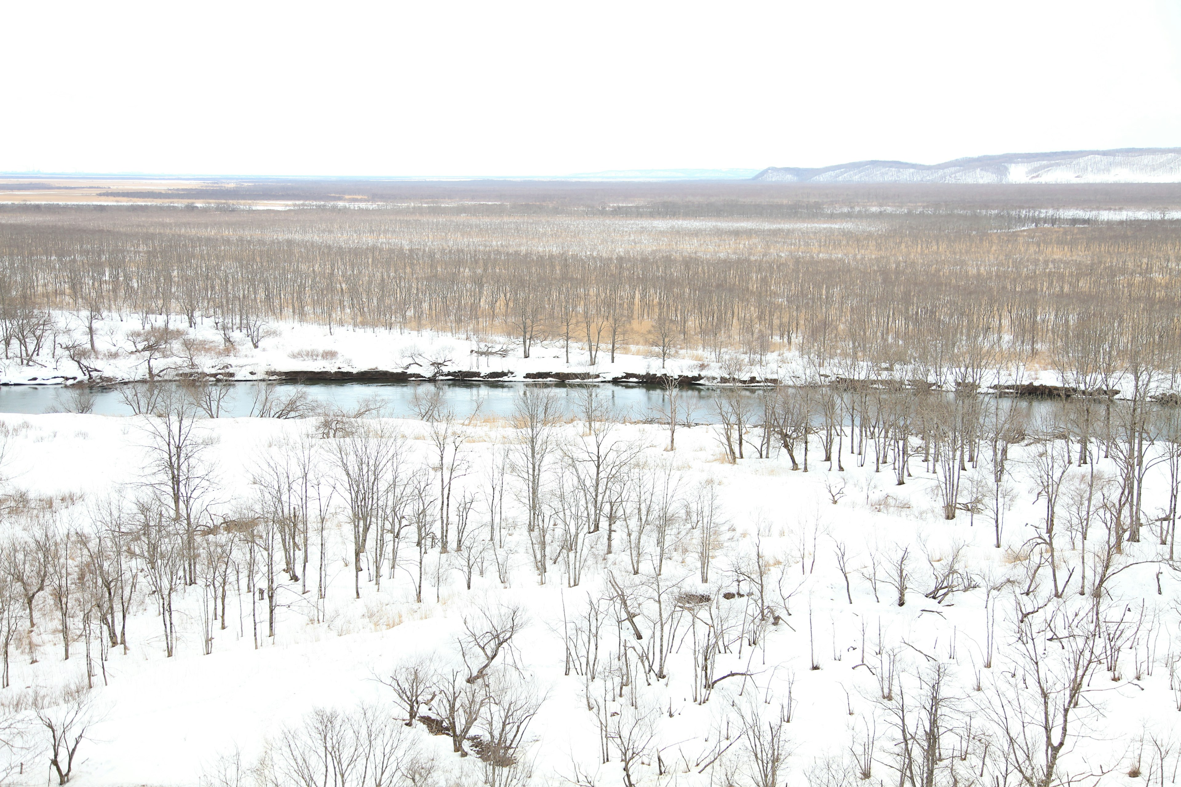 Weite verschneite Landschaft mit Bäumen und einem Fluss