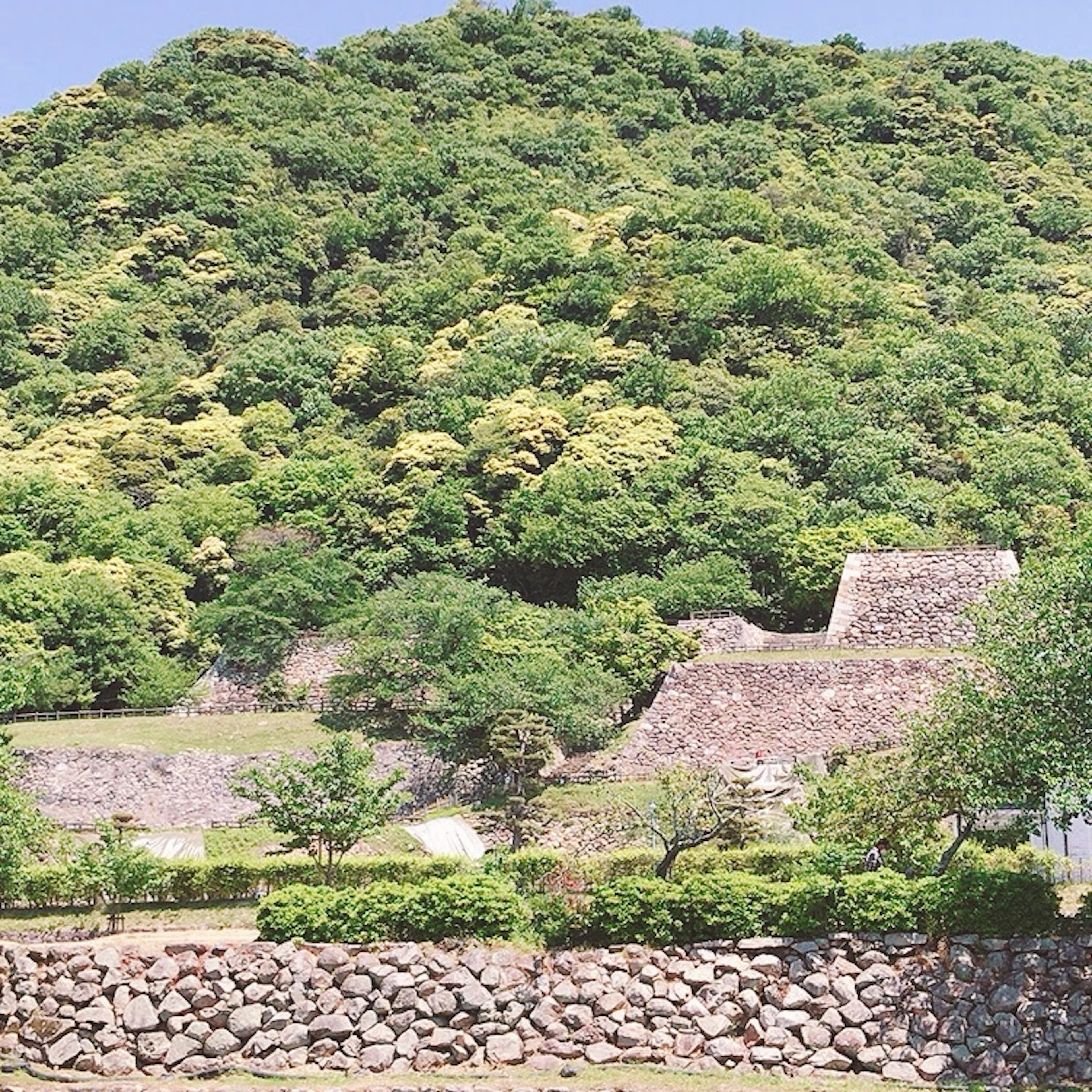 緑豊かな山の背景に古代の遺跡が見える風景