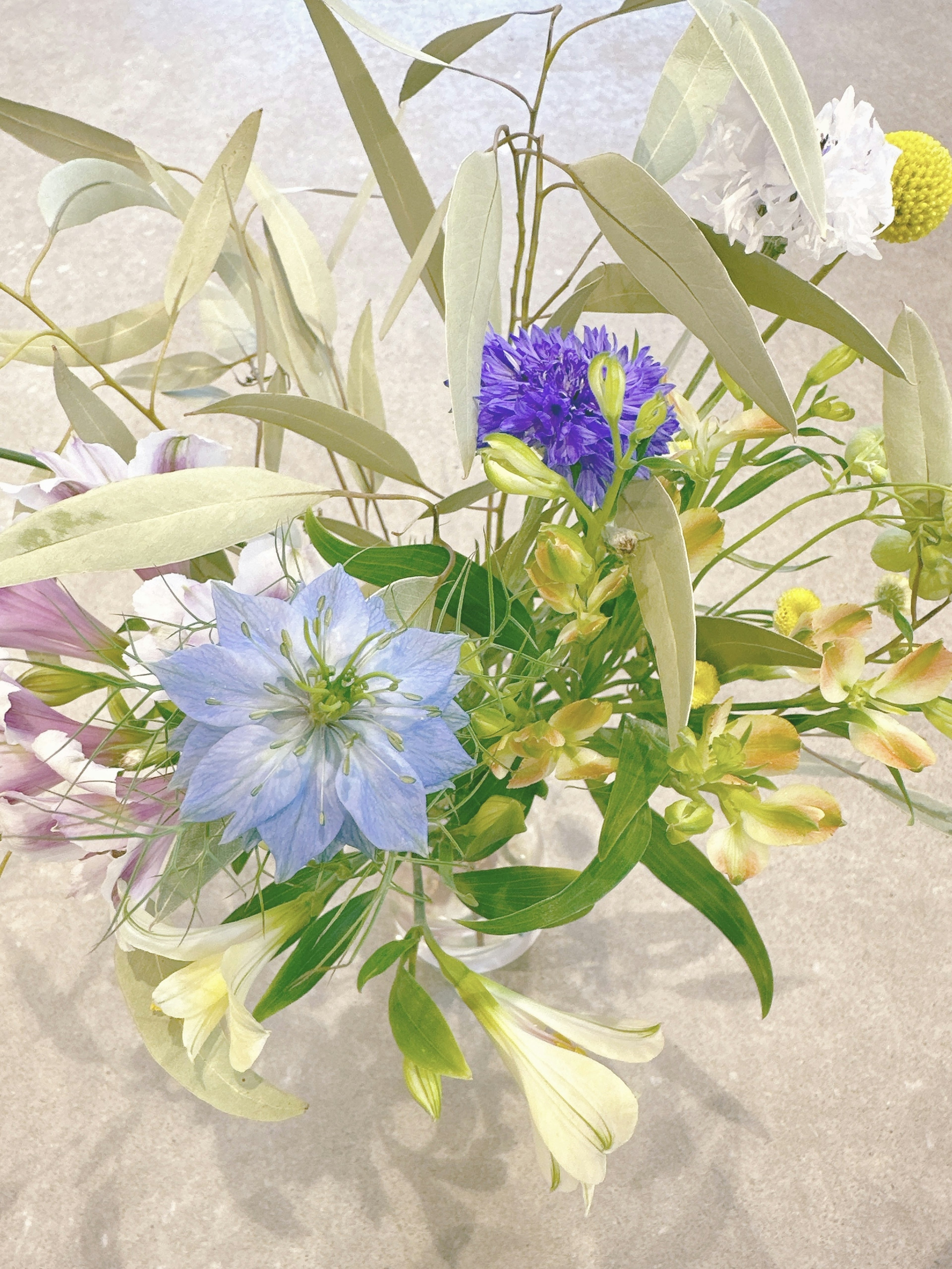 A vase filled with a mix of blue and various colored flowers