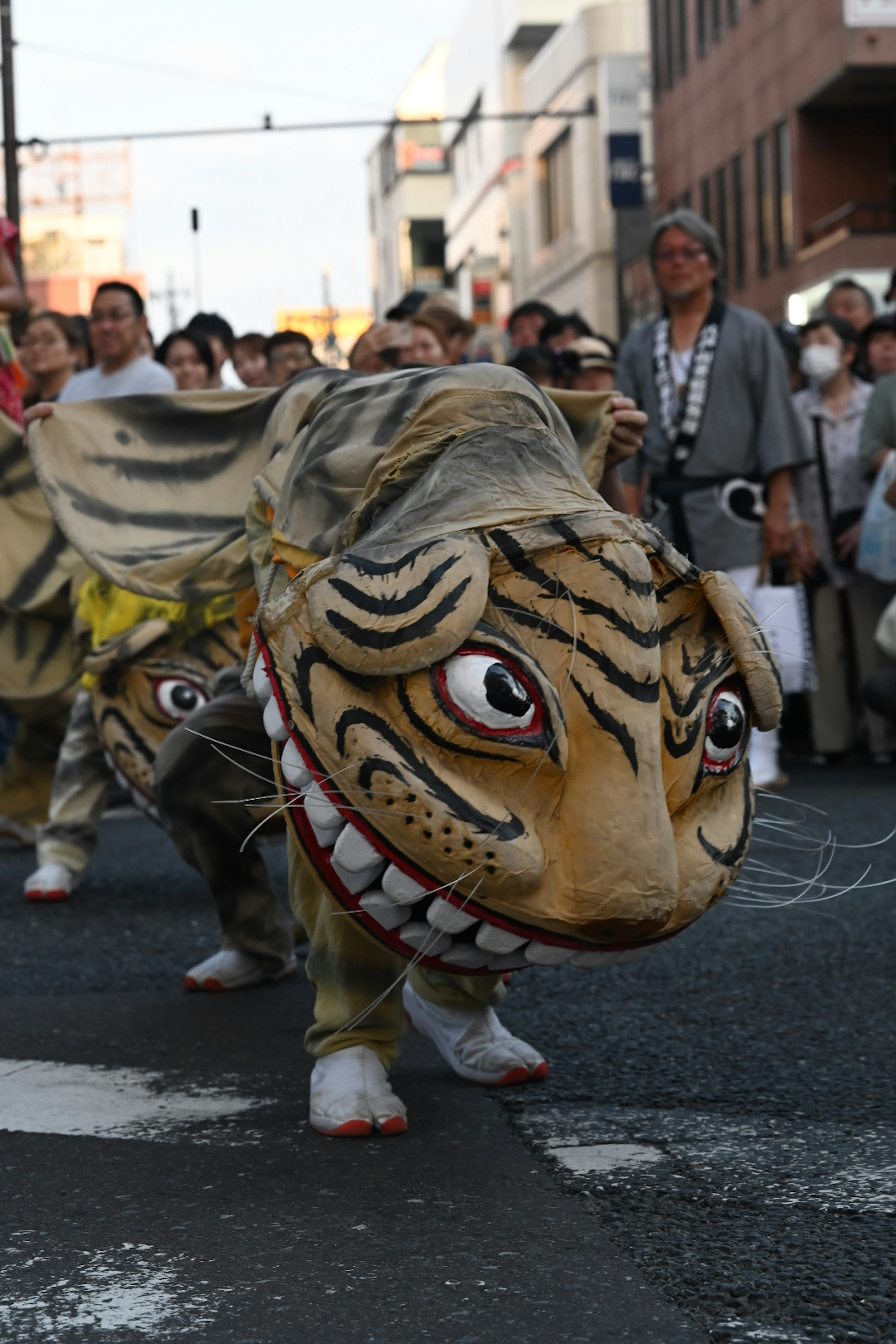 Festival scene with people in tiger costumes parading on the street