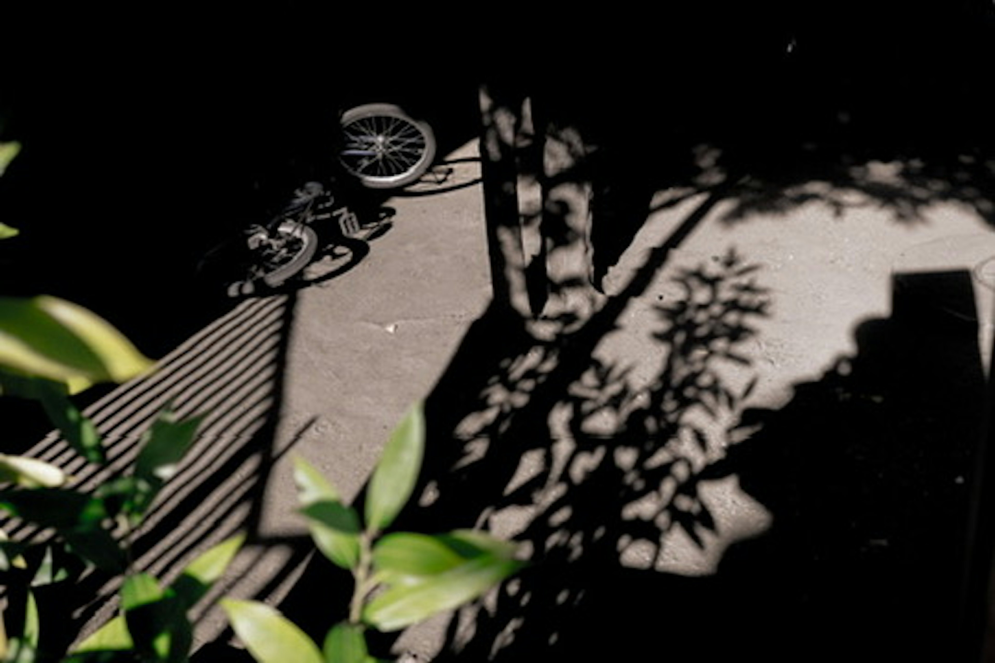 Silhouette of a bicycle surrounded by shadows and green leaves