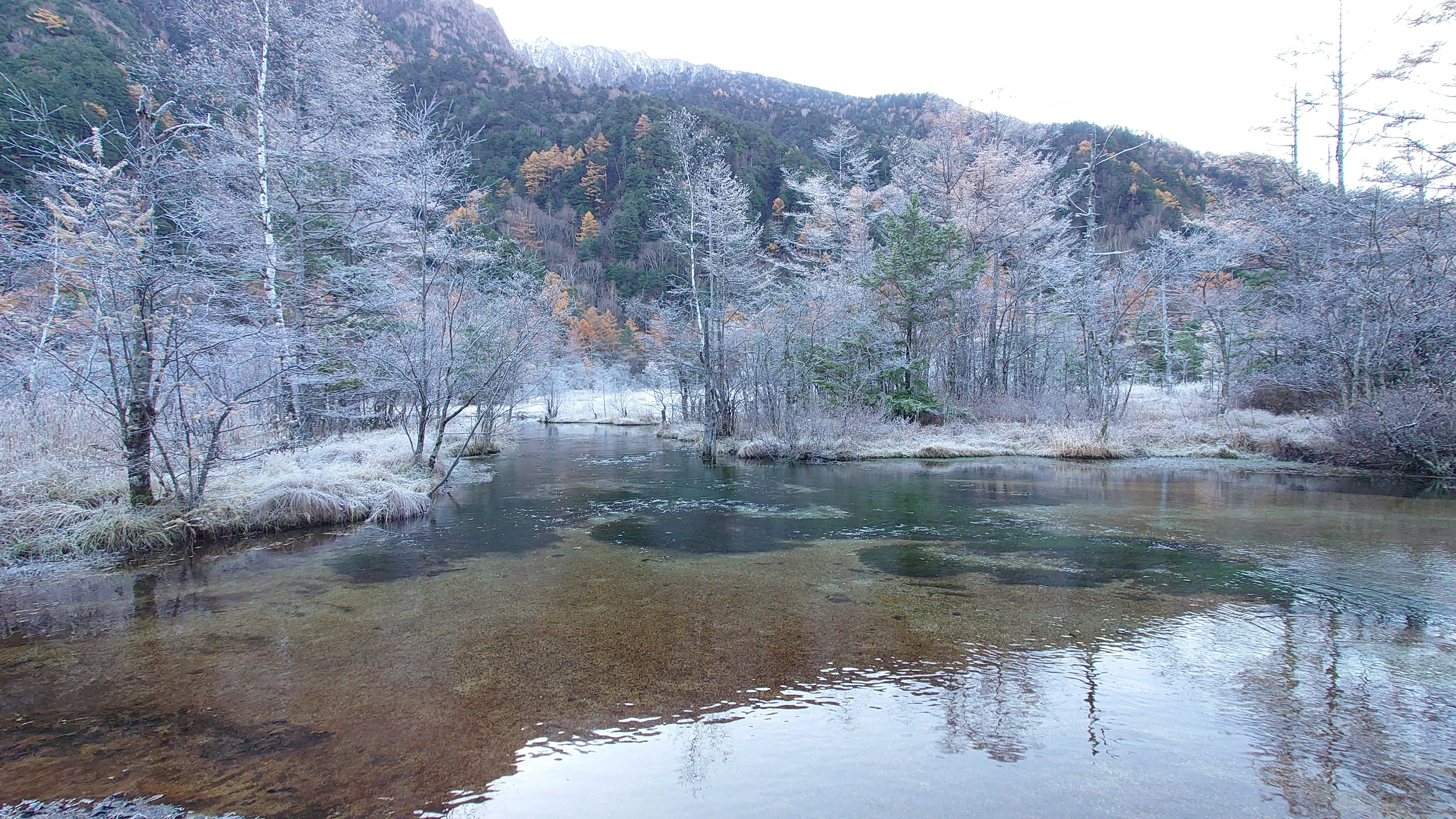 Frost-covered trees and calm water surface in a winter landscape