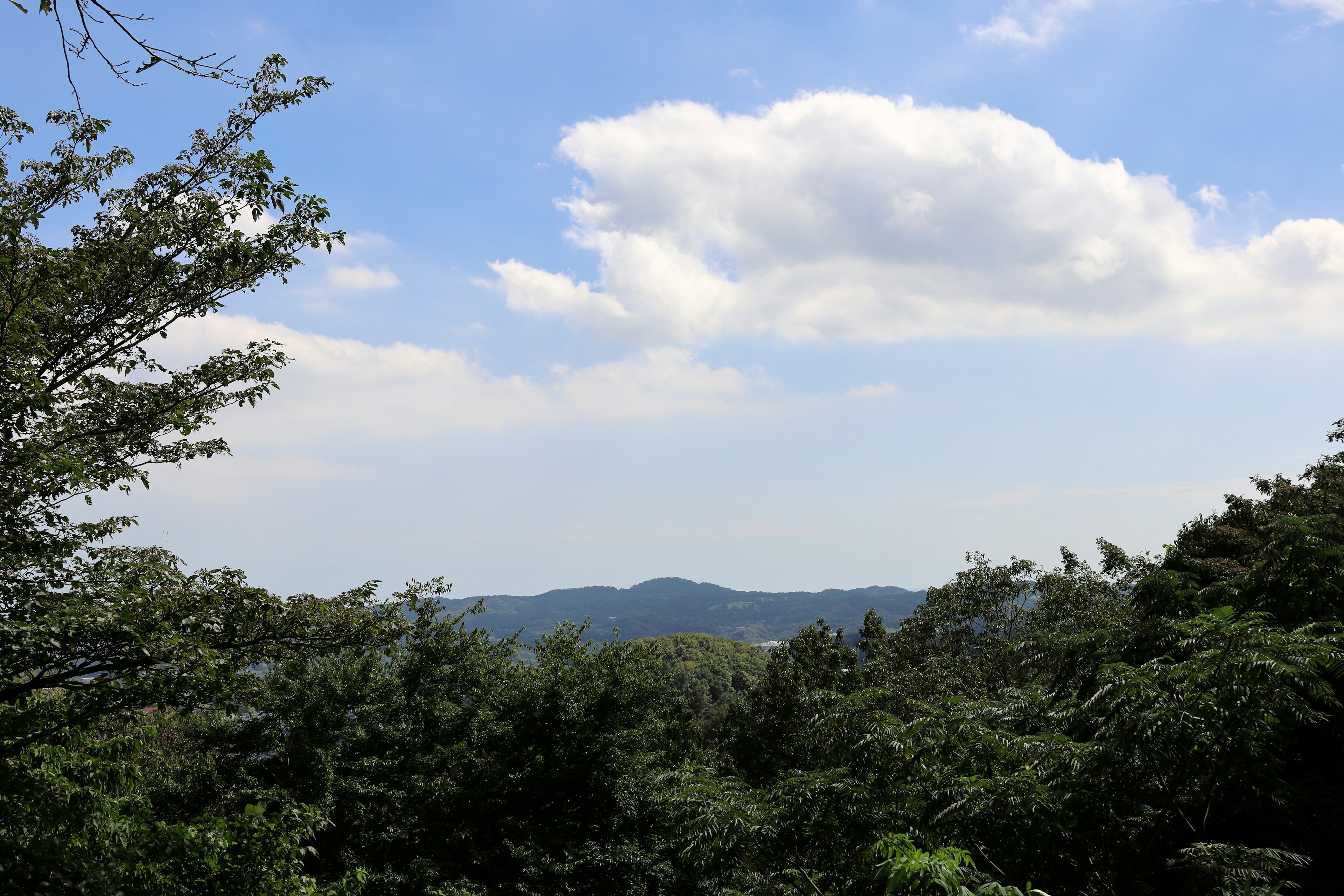 Lush green mountains under a blue sky with clouds