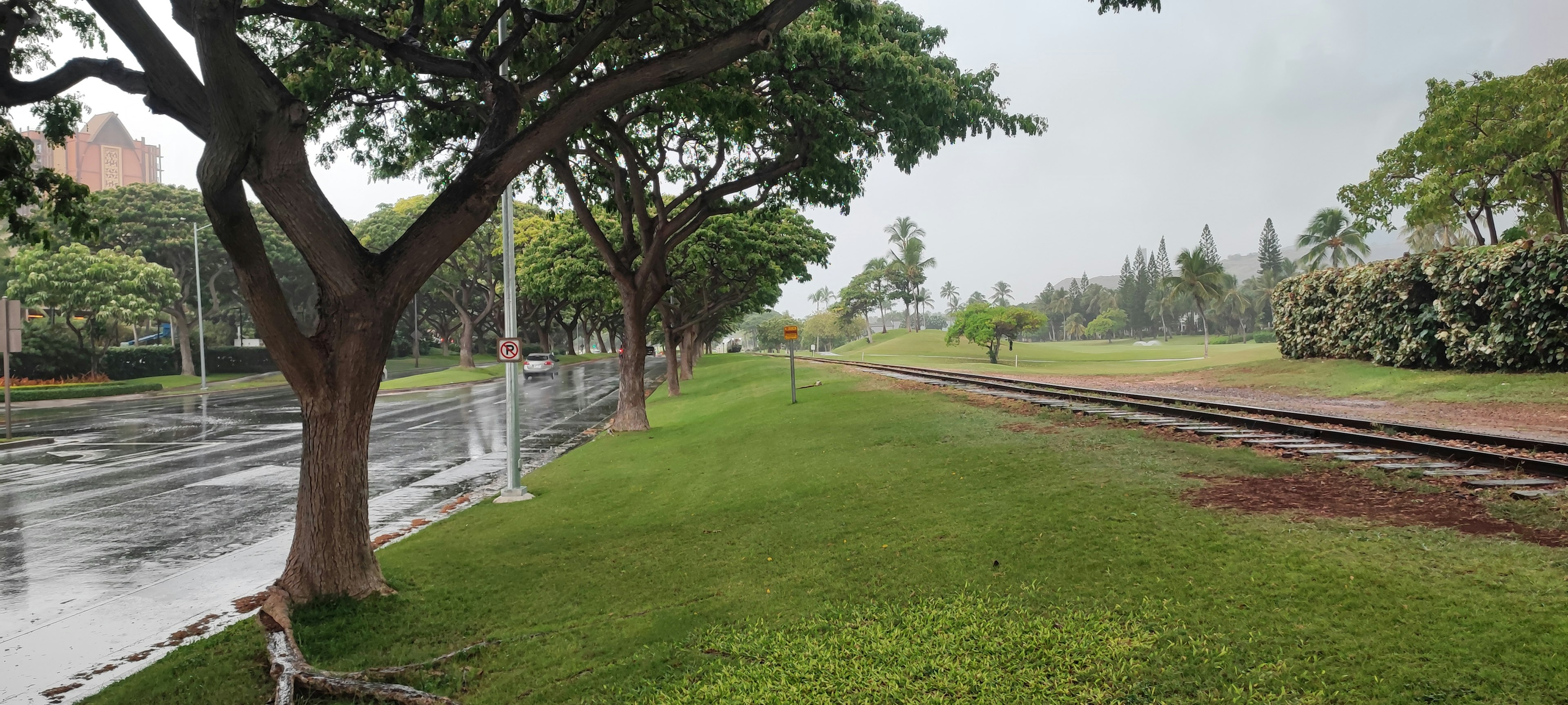 A serene landscape featuring green grass and trees along a quiet road