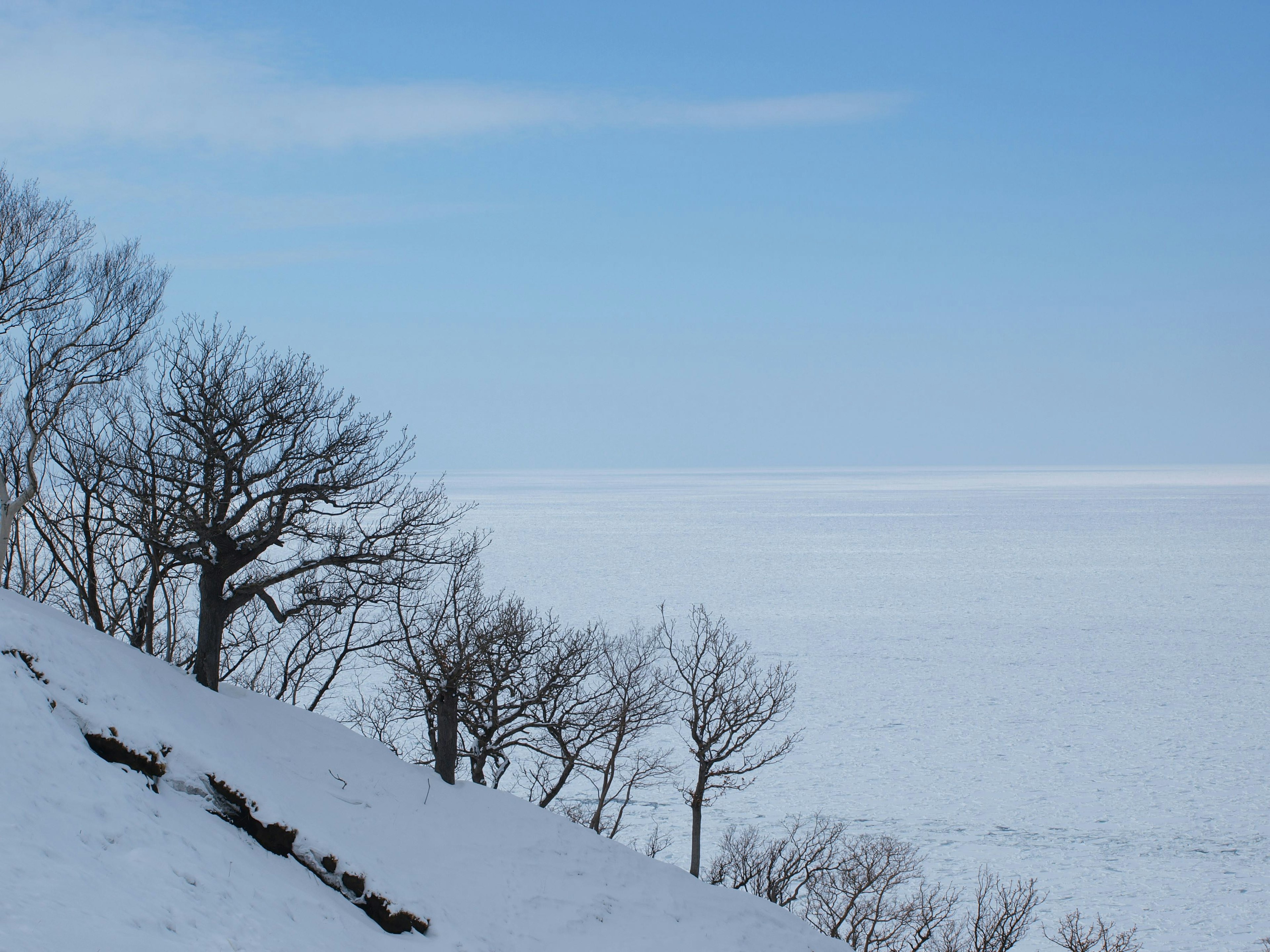 Verschneite Hügel mit kahlen Bäumen unter klarem blauen Himmel