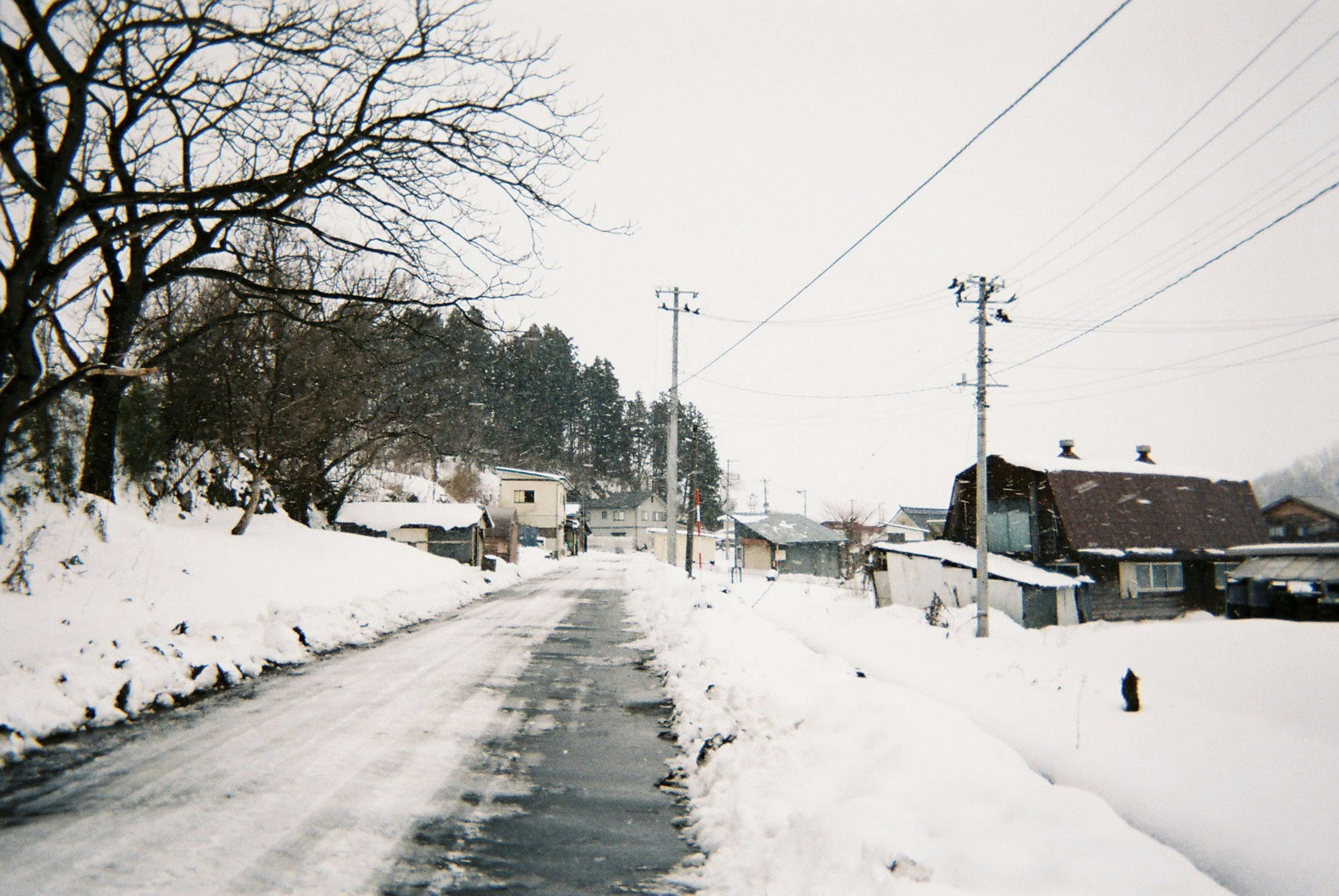 Camino cubierto de nieve con casas en un paisaje invernal