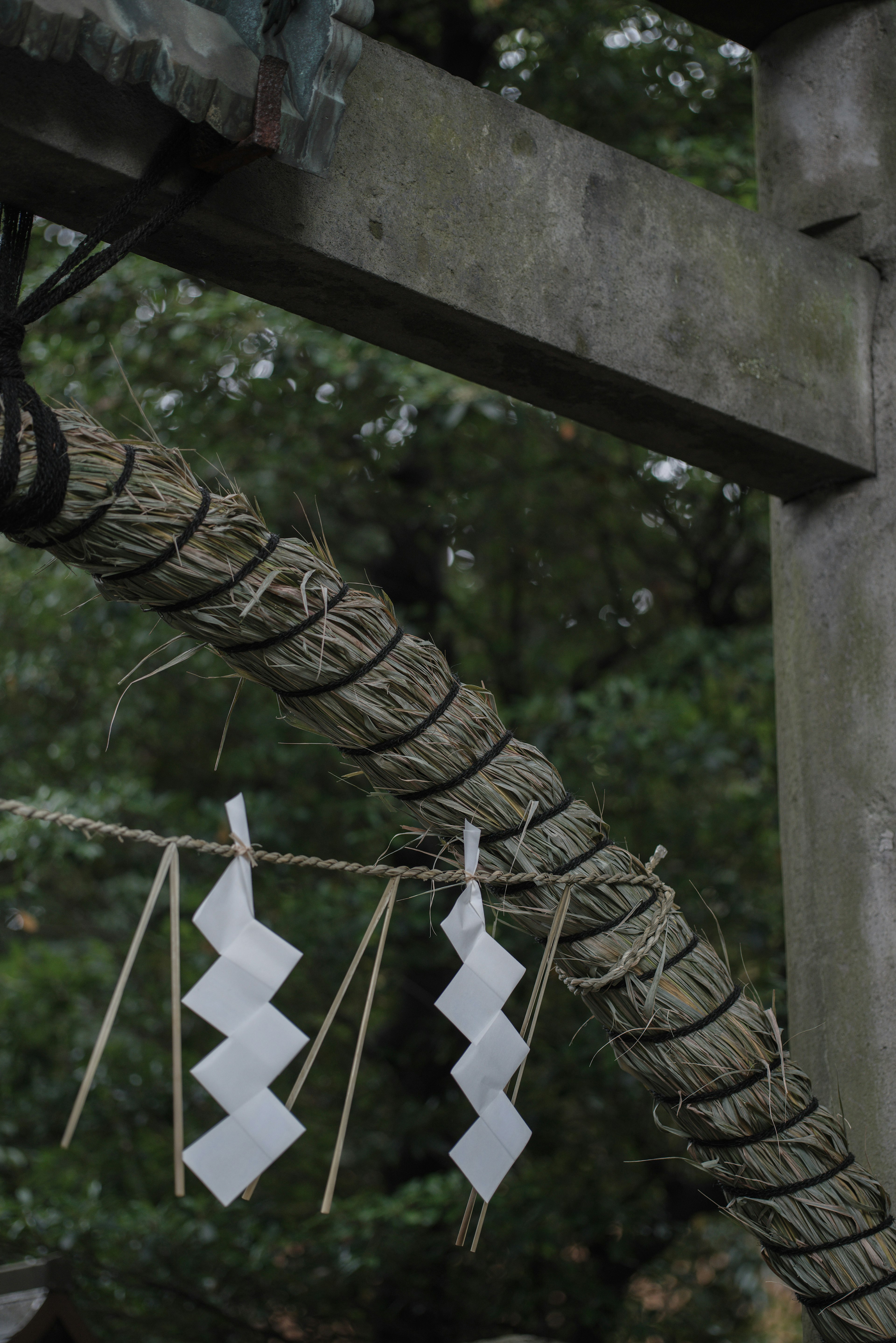 Talismans shinto blancs suspendus à une corde à l'entrée d'un sanctuaire