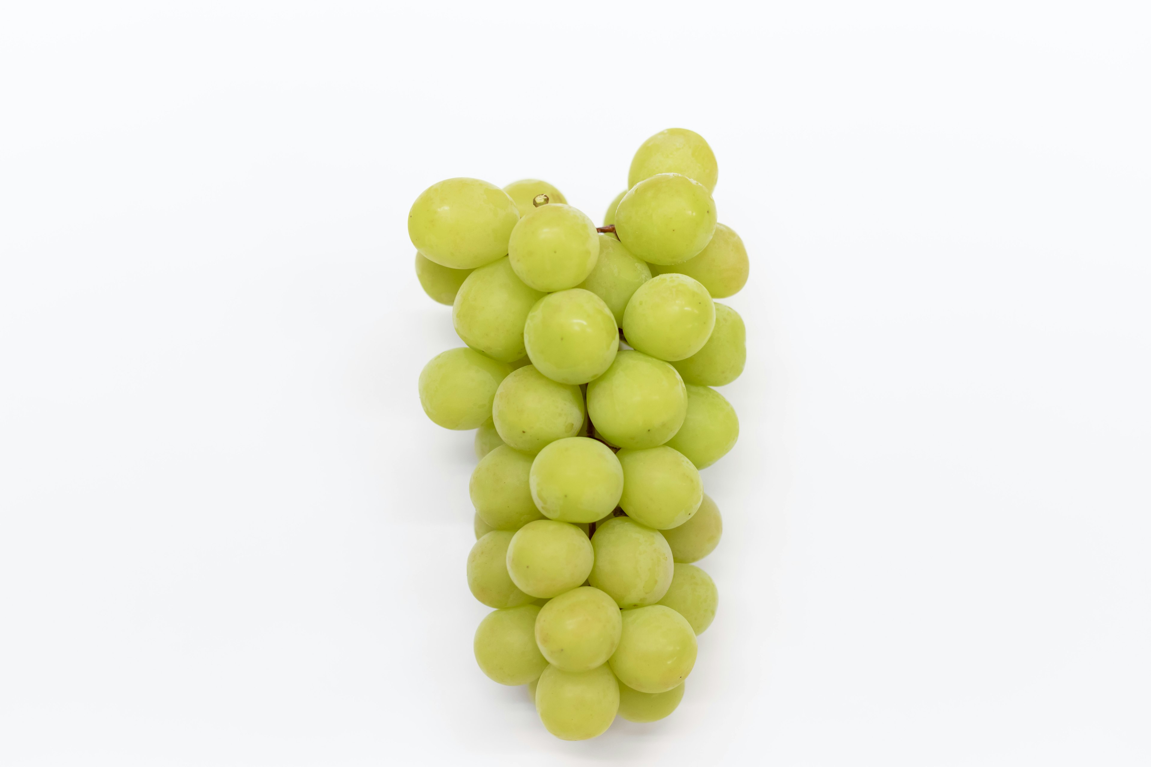 A bunch of green grapes on a white background