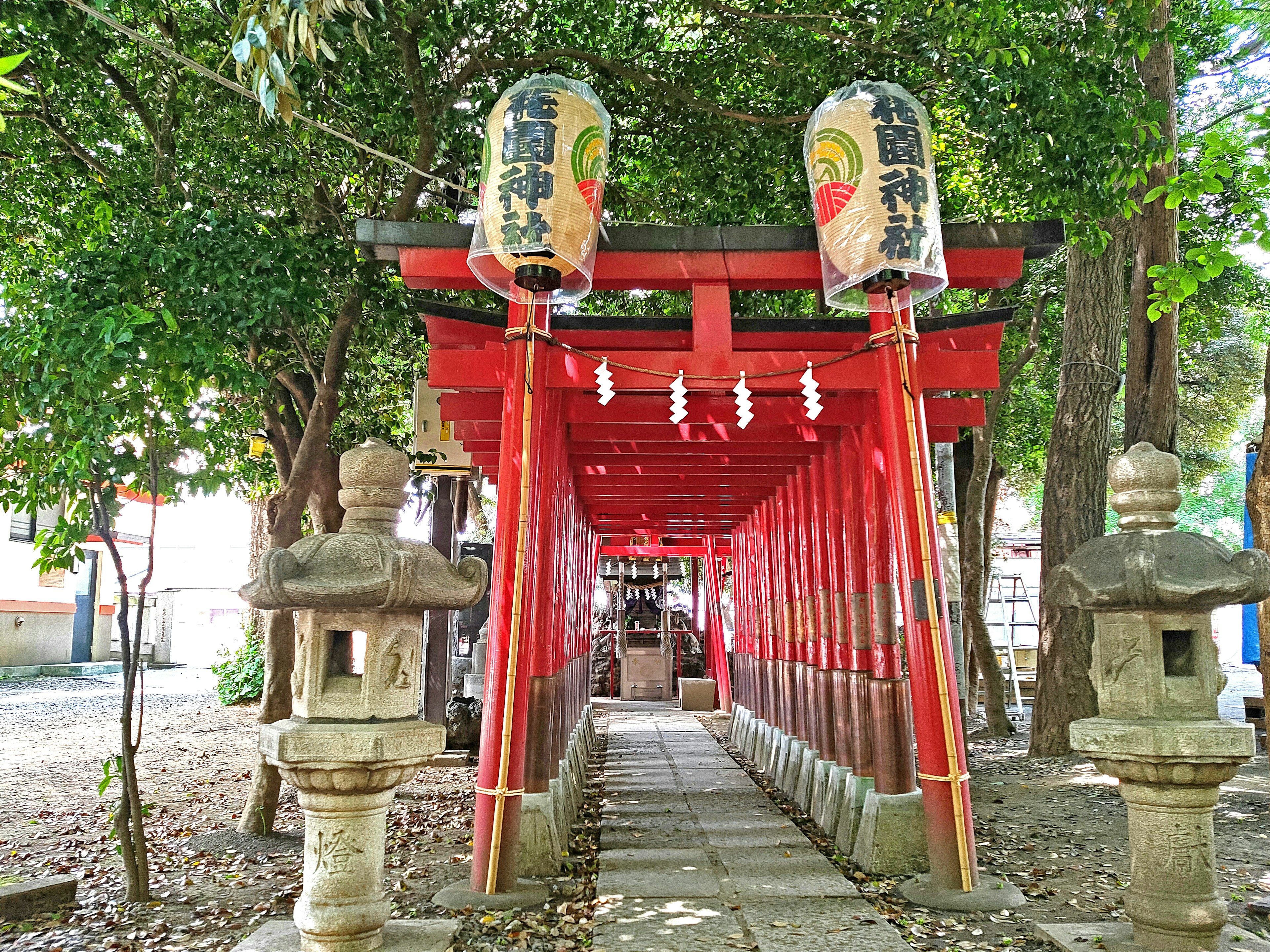 Sentiero di un tempio con torii rossi e lanterne di pietra