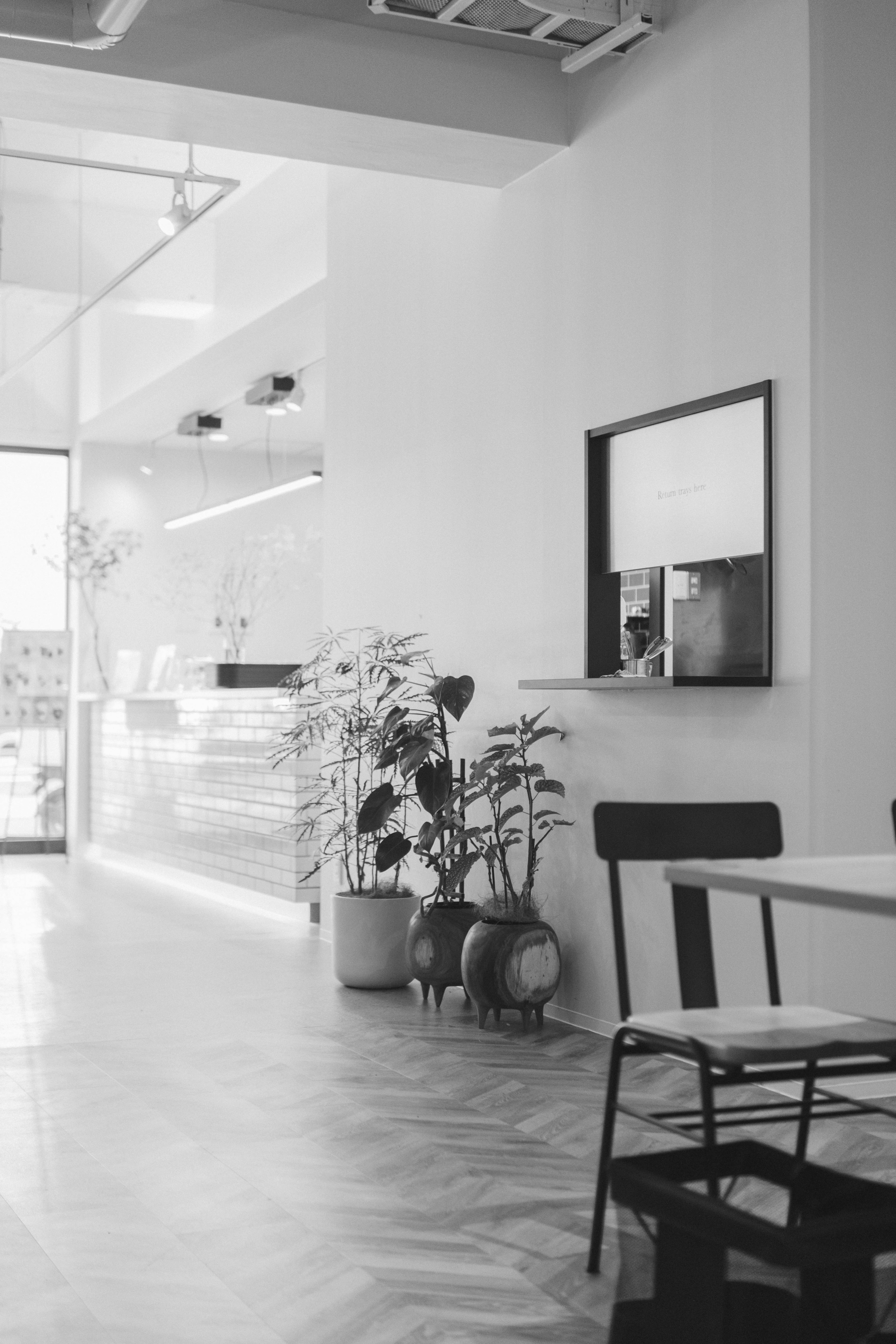 Esquina de un café moderno con decoración minimalista que incluye plantas y mesas de madera