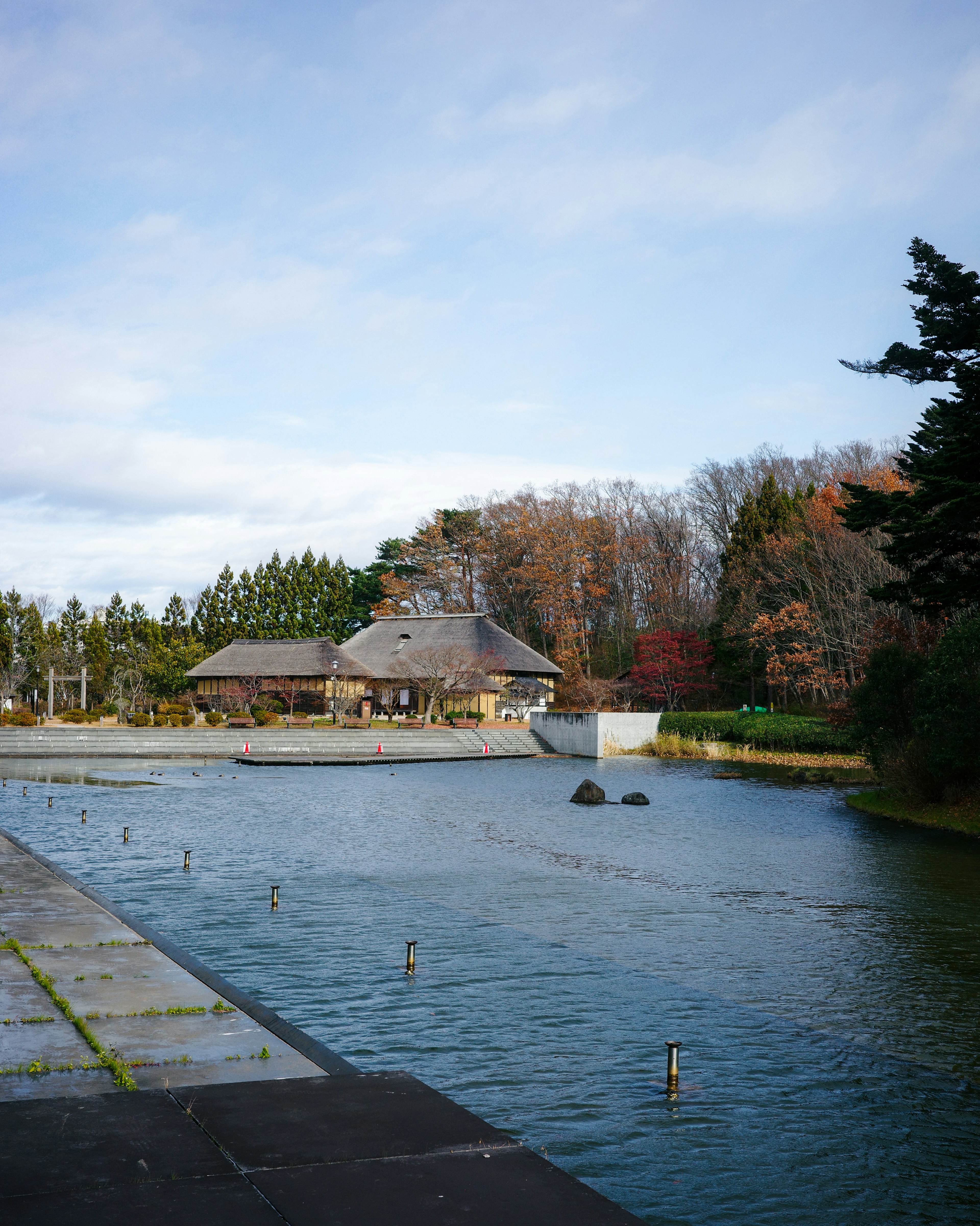 静かな池の風景と古い日本家屋周辺の自然