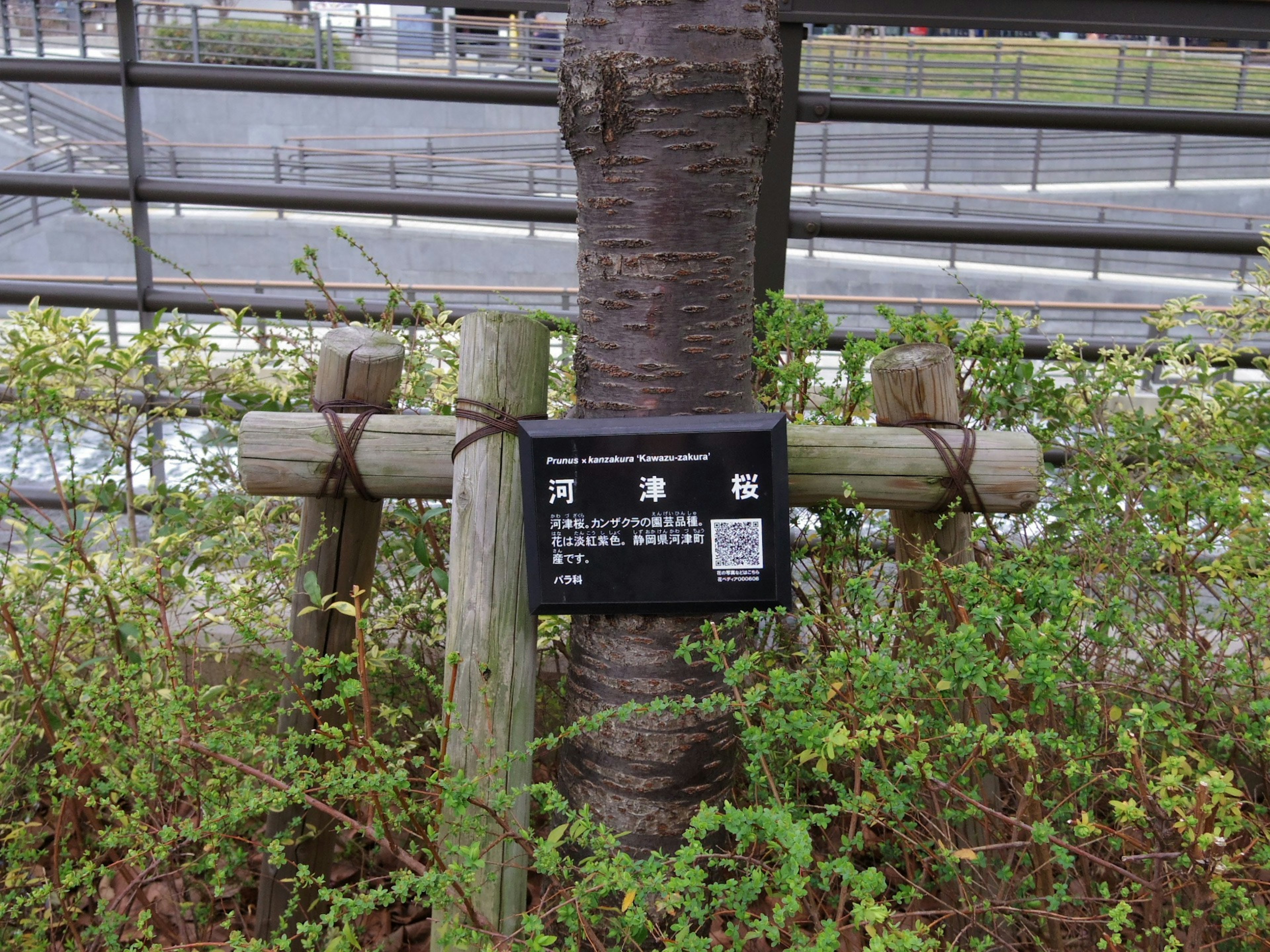 Schwarzes Schild neben einem Baum mit Holzstützen