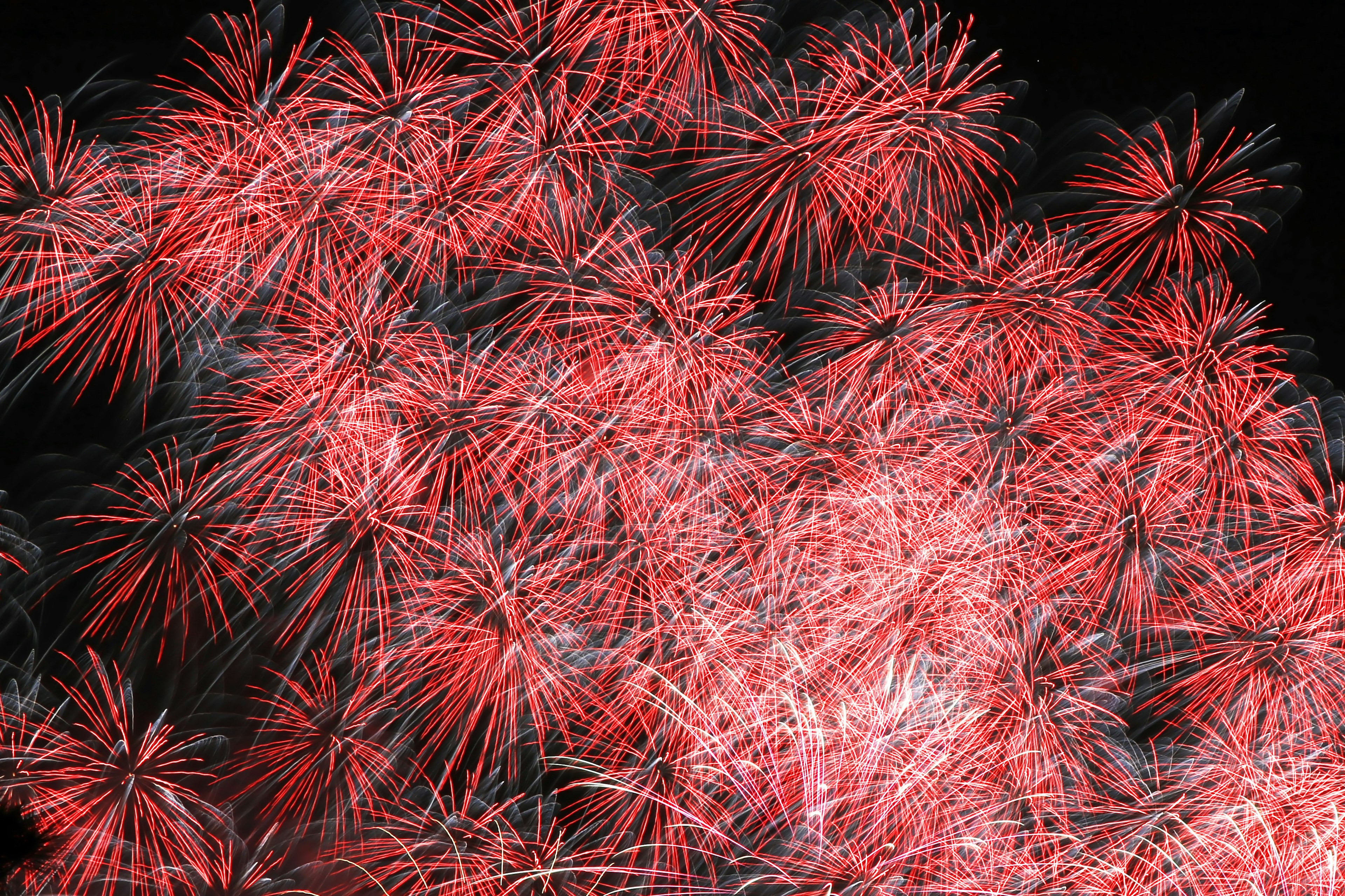 Des feux d'artifice rouges éclatant dans le ciel nocturne créant un magnifique spectacle de lumière