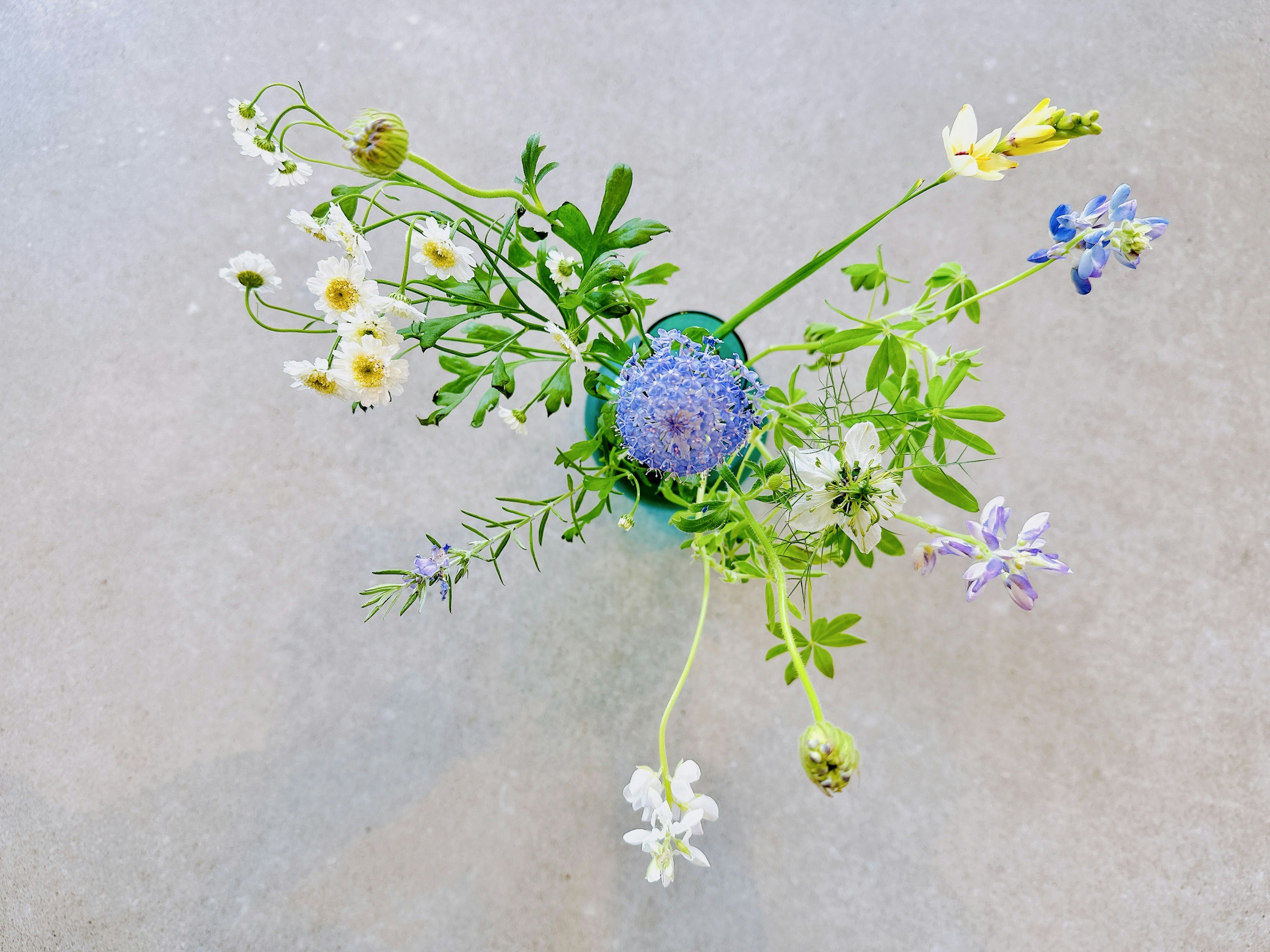 A beautiful bouquet of mixed blue and white flowers viewed from above