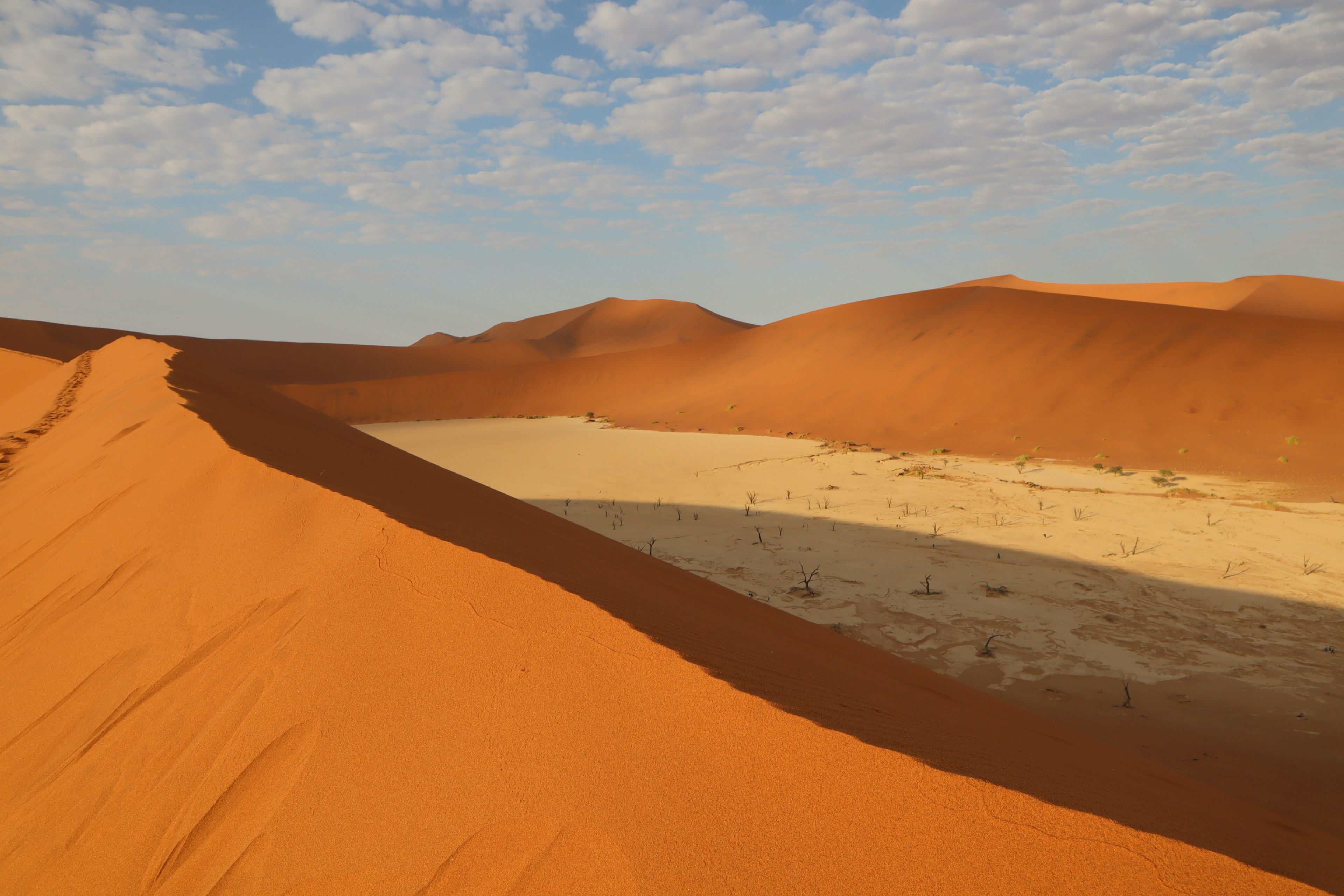 Orange sand dunes and yellow sandy plain in the Sahara Desert