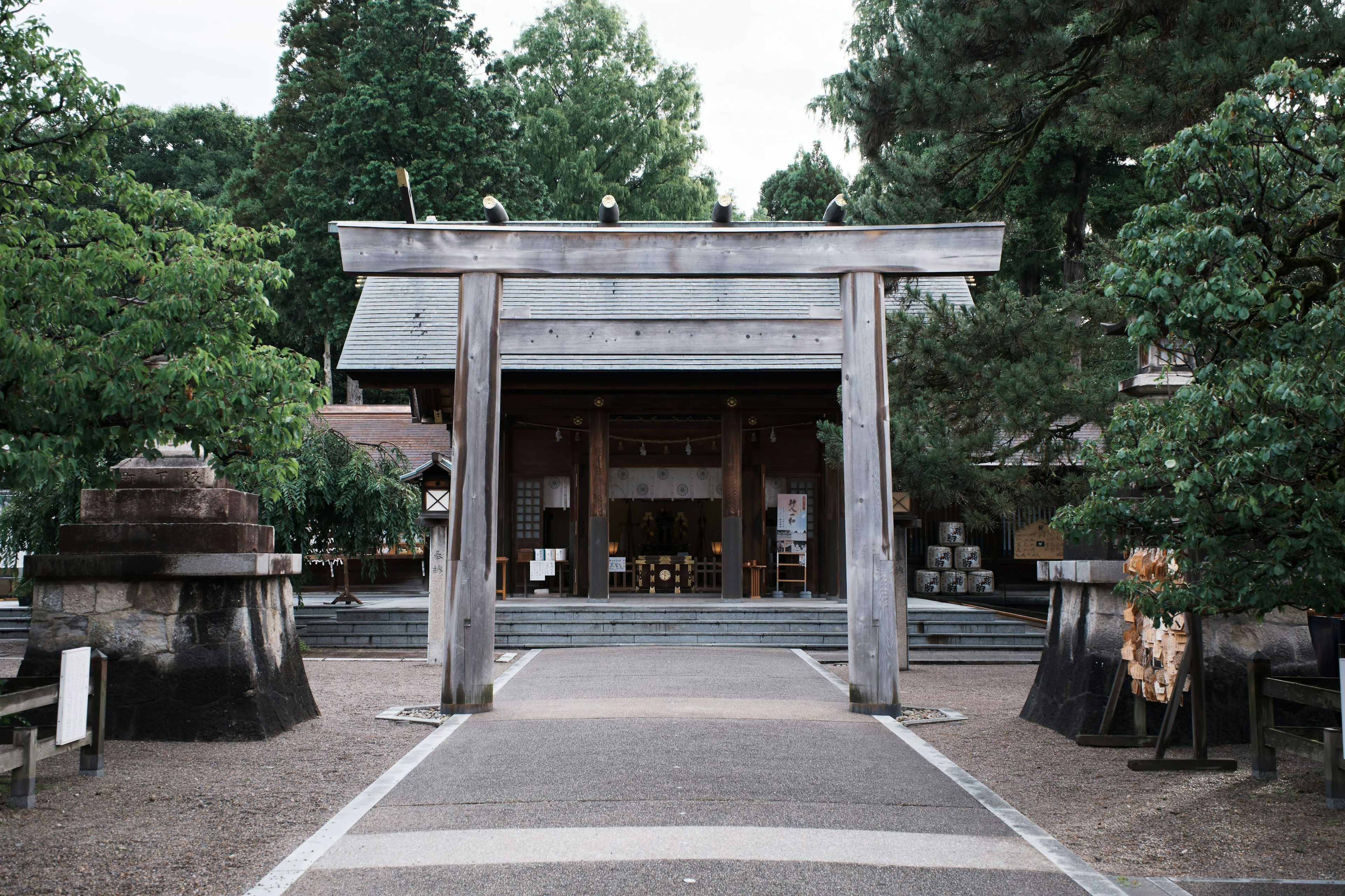 Eine ruhige Ansicht eines Torii und eines Hauptgebäudes umgeben von üppigem Grün